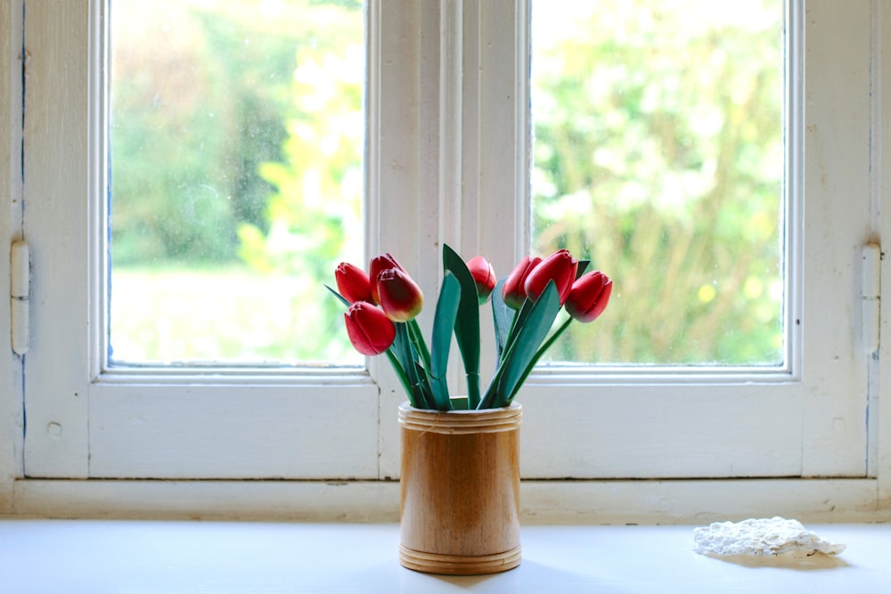 Tulipanes rojos en frasco de vidrio transparente