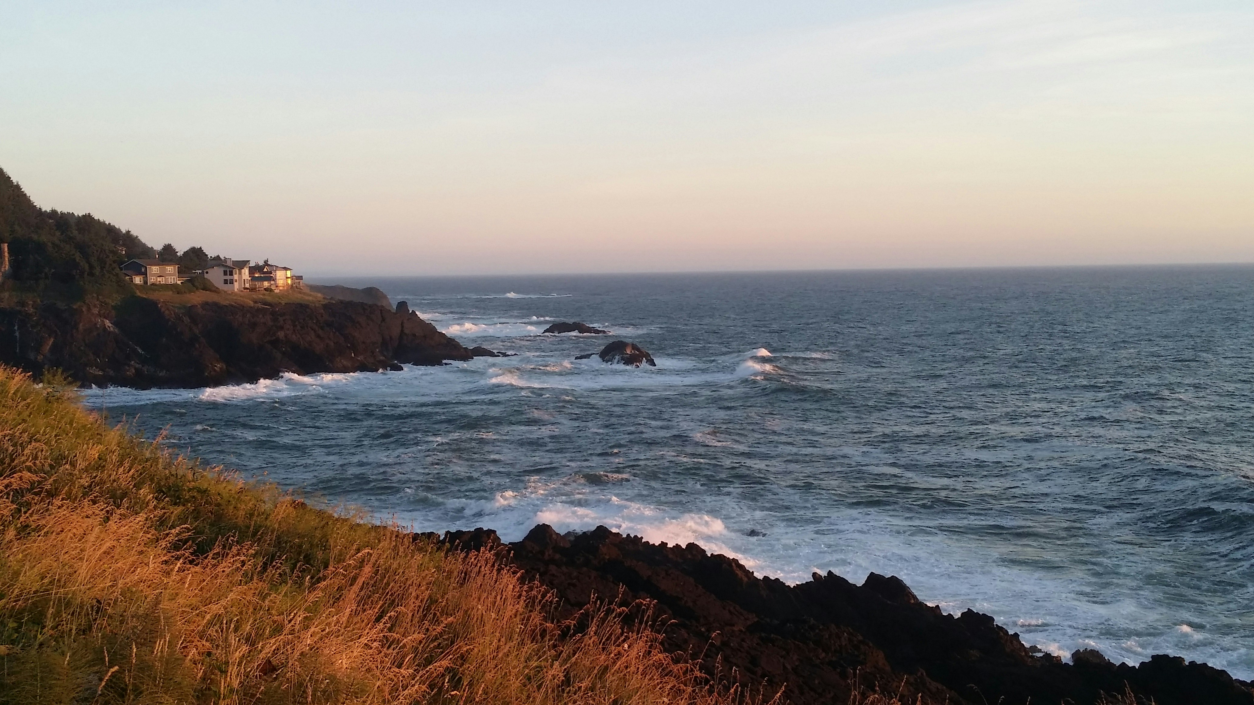 Free Unsplash photo from Lenora Jackson