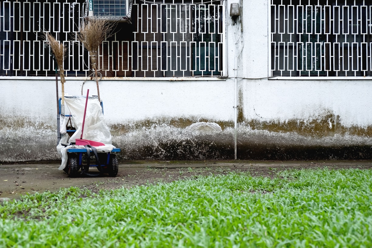 A cleaning cart is positioned against a wall with a geometric metal grille window above. It contains brooms and a mop. The wall shows signs of weathering, with a distinct dirty line. Green grass grows in the foreground.