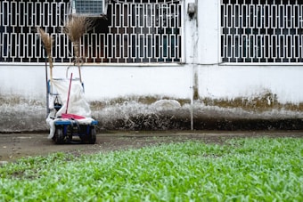 A cleaning cart is positioned against a wall with a geometric metal grille window above. It contains brooms and a mop. The wall shows signs of weathering, with a distinct dirty line. Green grass grows in the foreground.