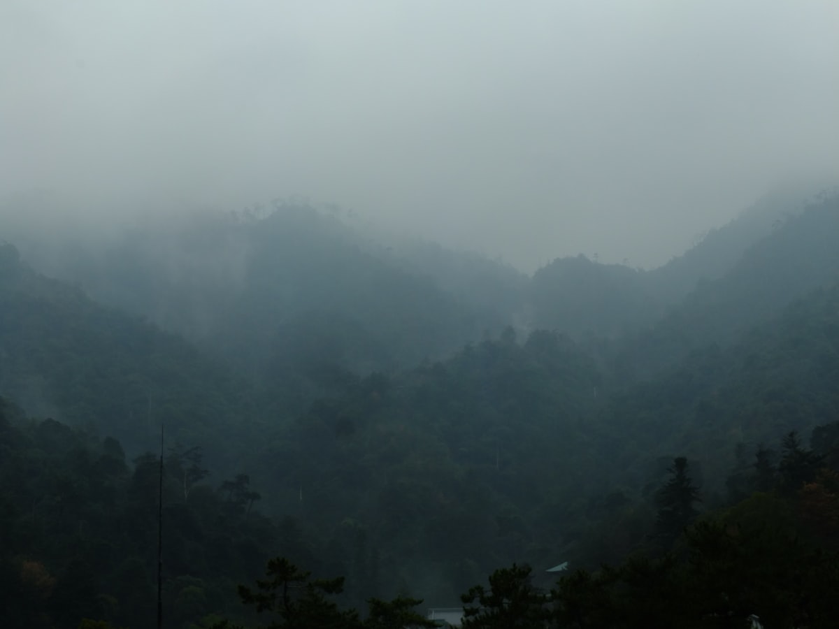 Hiroshima June — Miyajima island forest mist and rain