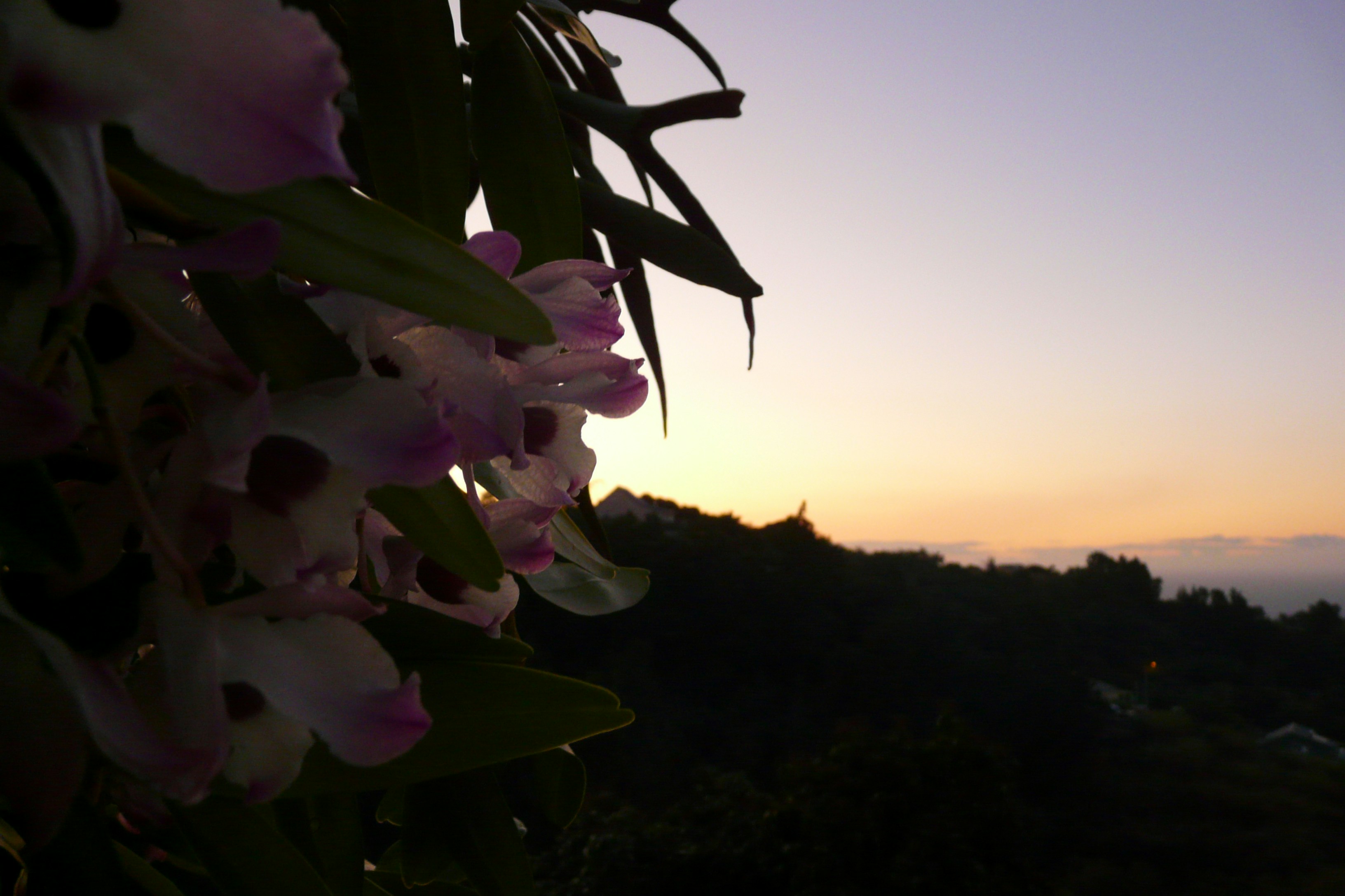 Free Unsplash photo from Robert Emmanuel