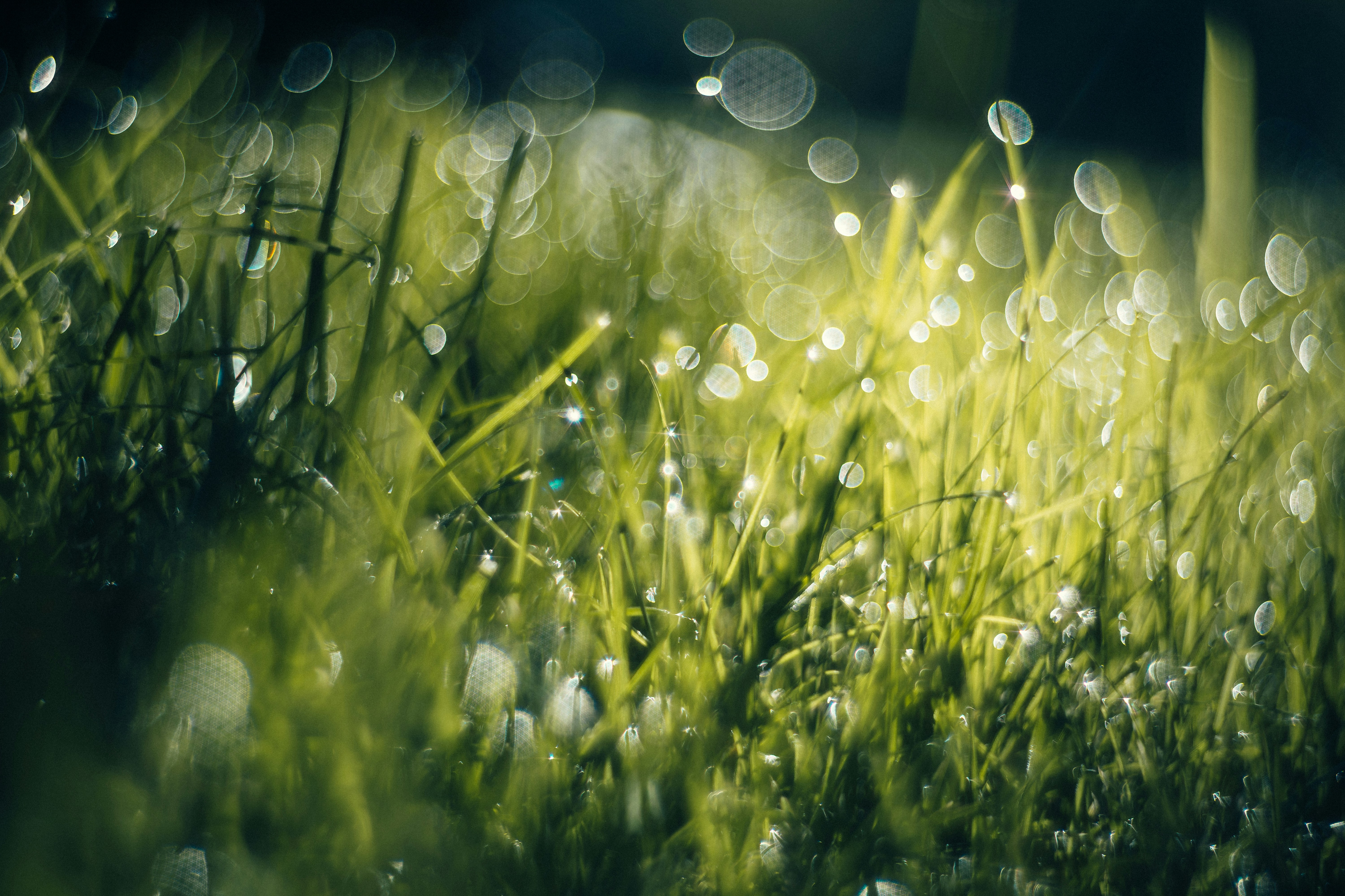 Free Unsplash photo from Joel Peel