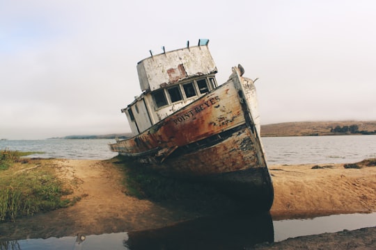 Point Reyes Shipwrecks things to do in Jenner