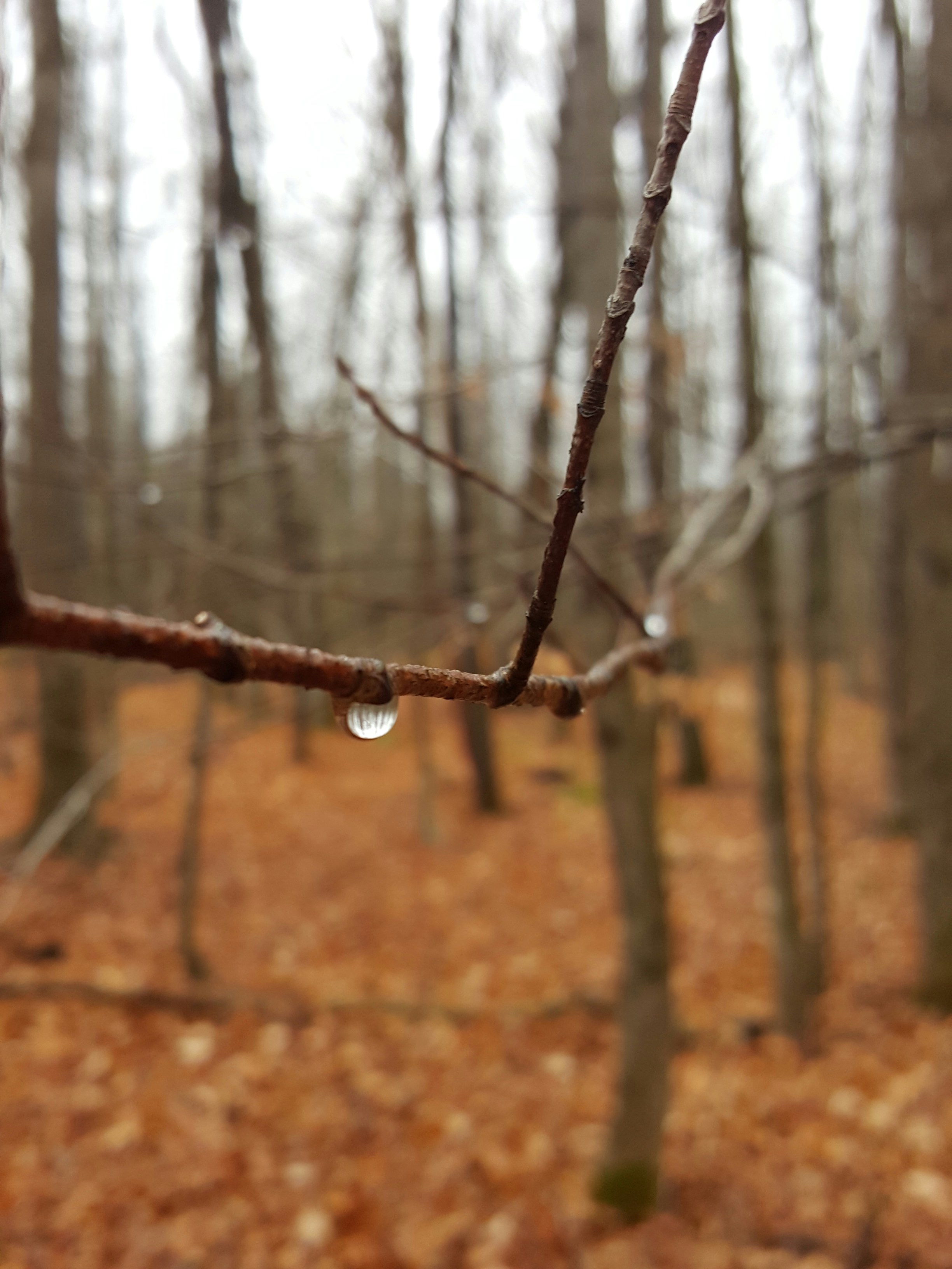 Free Unsplash photo from Aasha Edwards