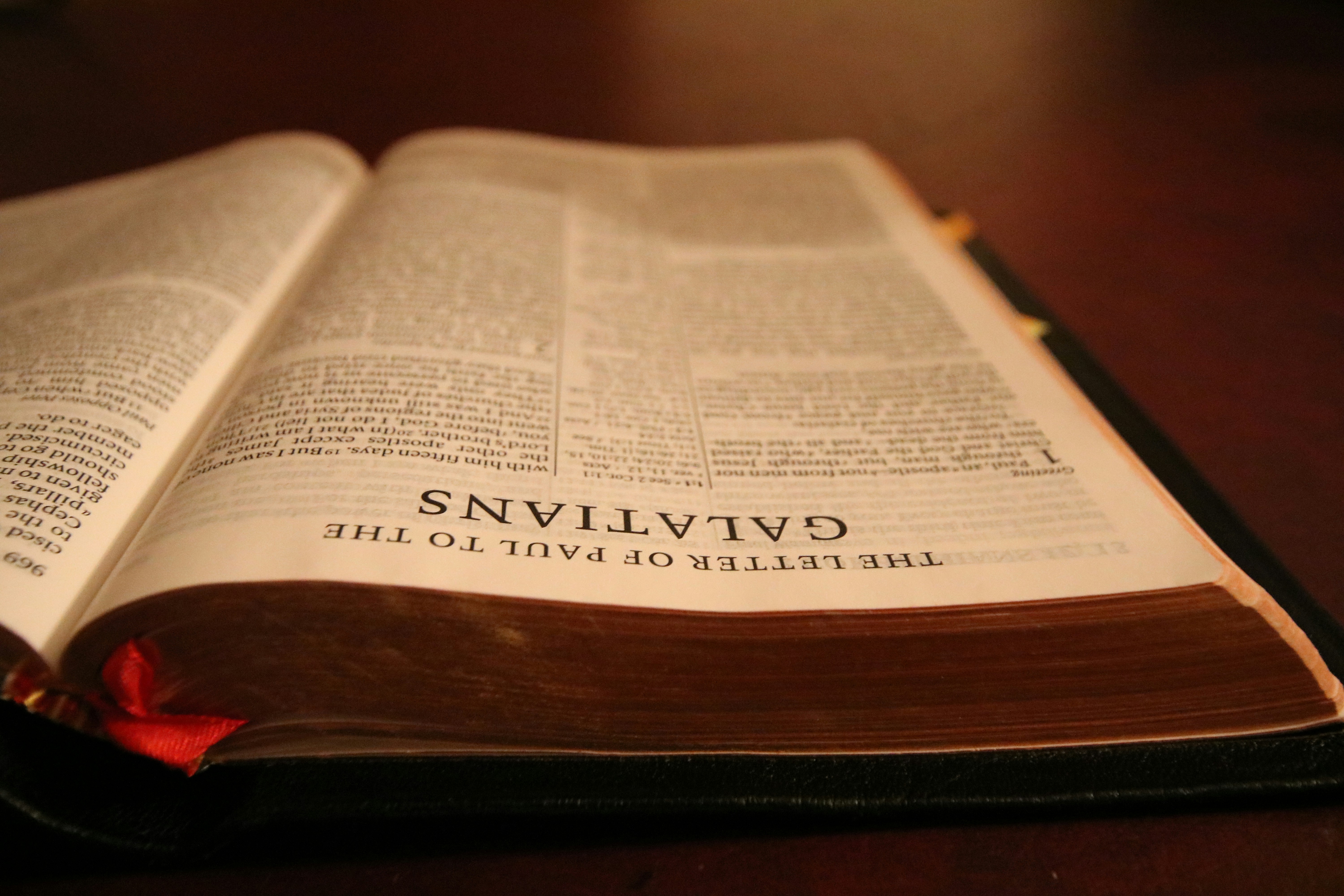 Free Unsplash photo from Ben Shanahan