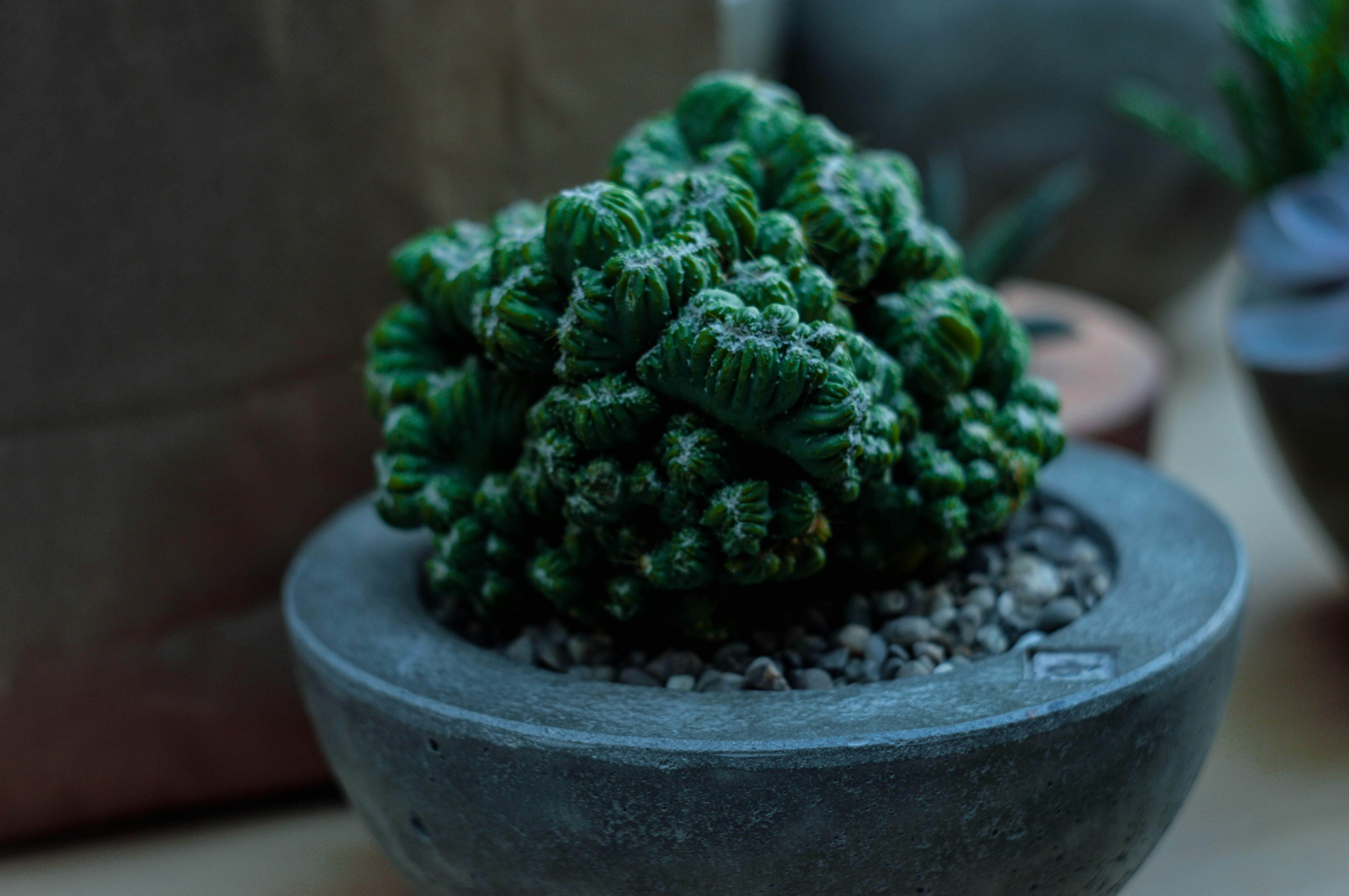 Free Unsplash photo from Mariana Vusiatytska