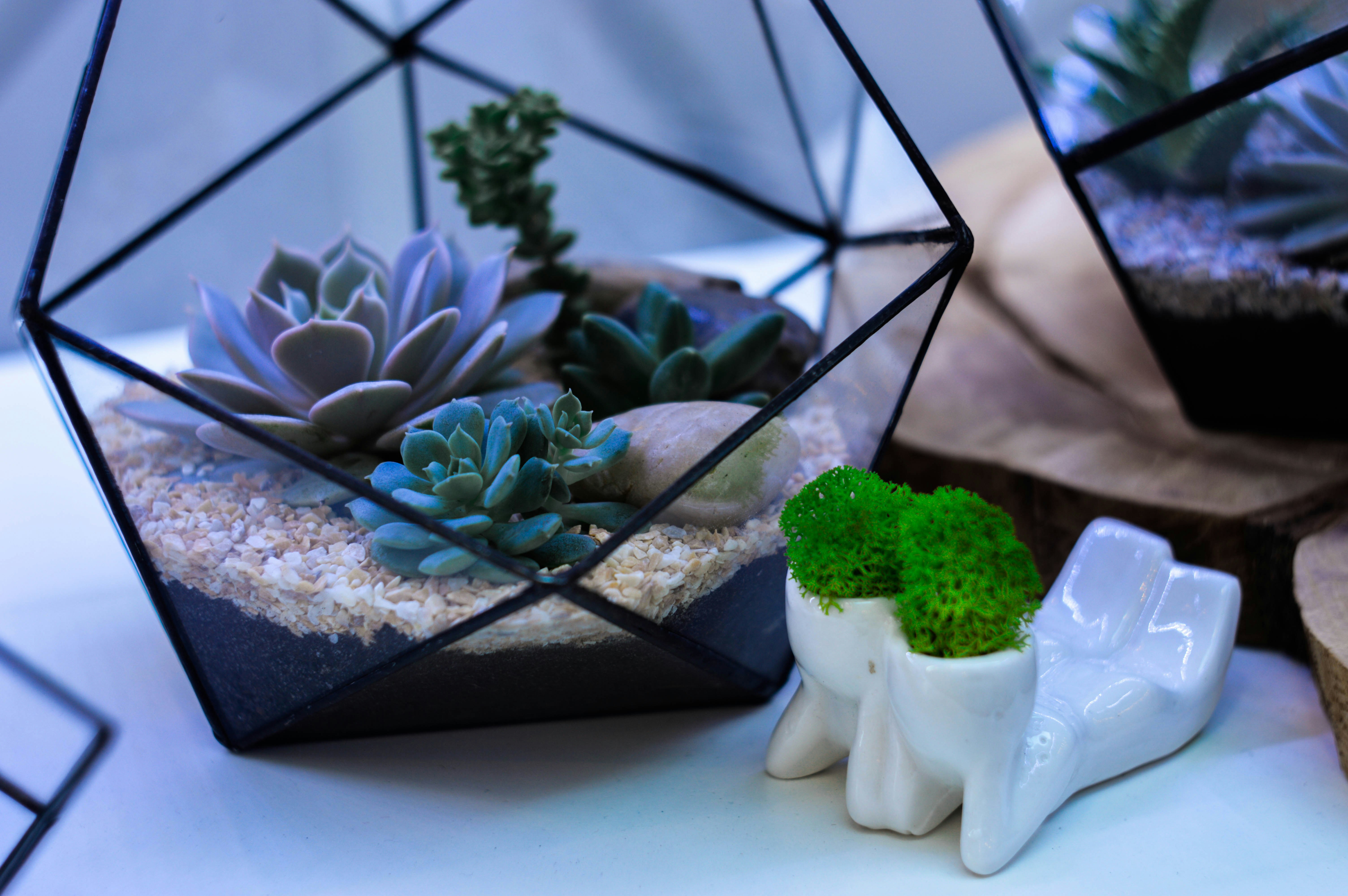 Free Unsplash photo from Mariana Vusiatytska