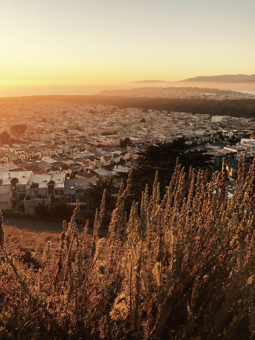 white houses on top of hill during daytime