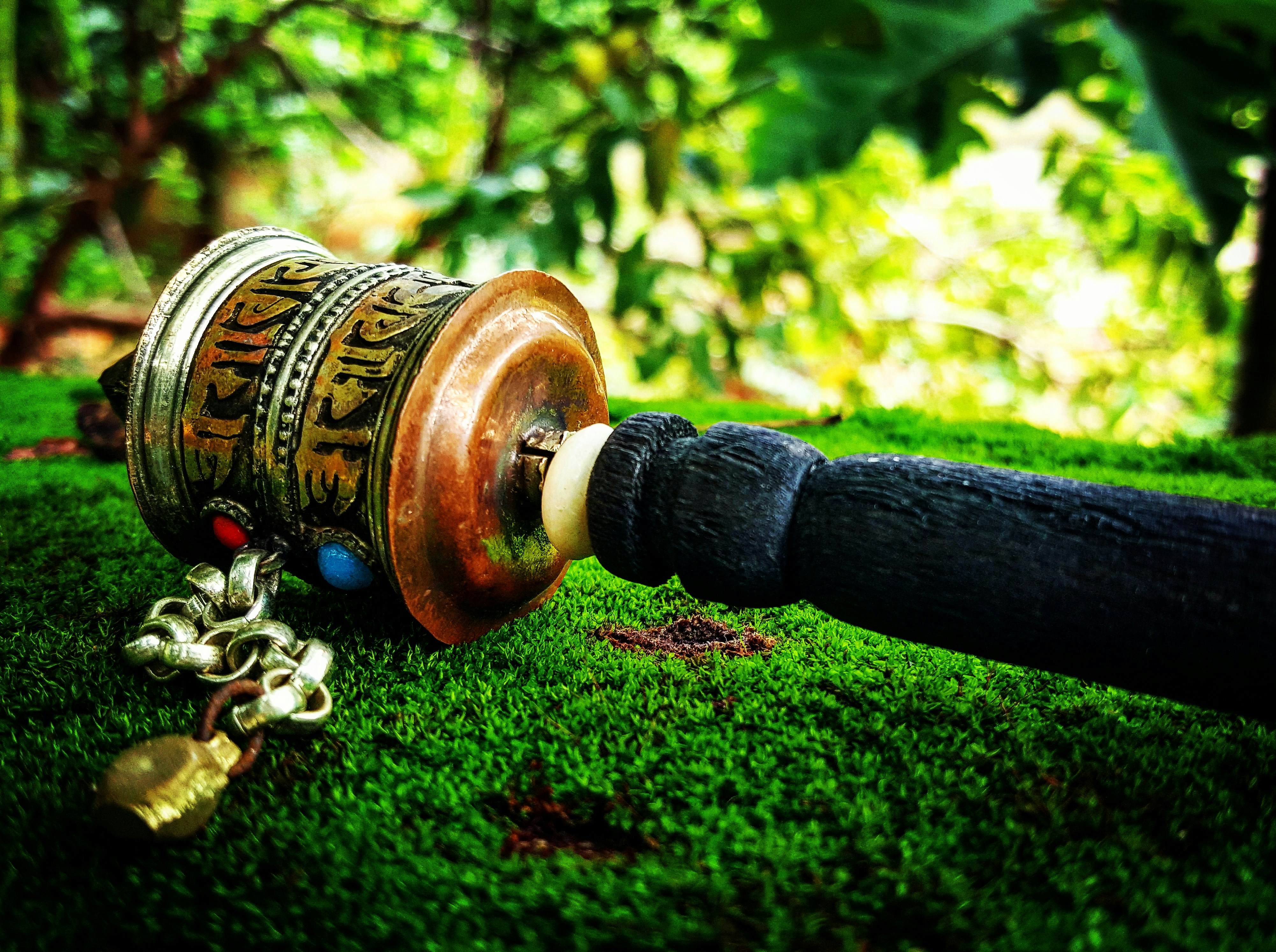 Free Unsplash photo from Anshuman Singh Raghuvanshi