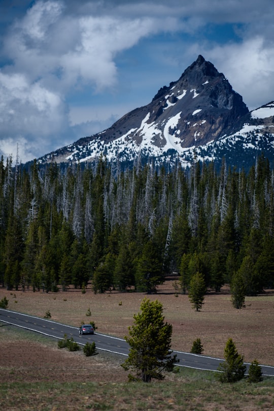 car on gray concrete tree heading to pine tree area in Crater Lake United States