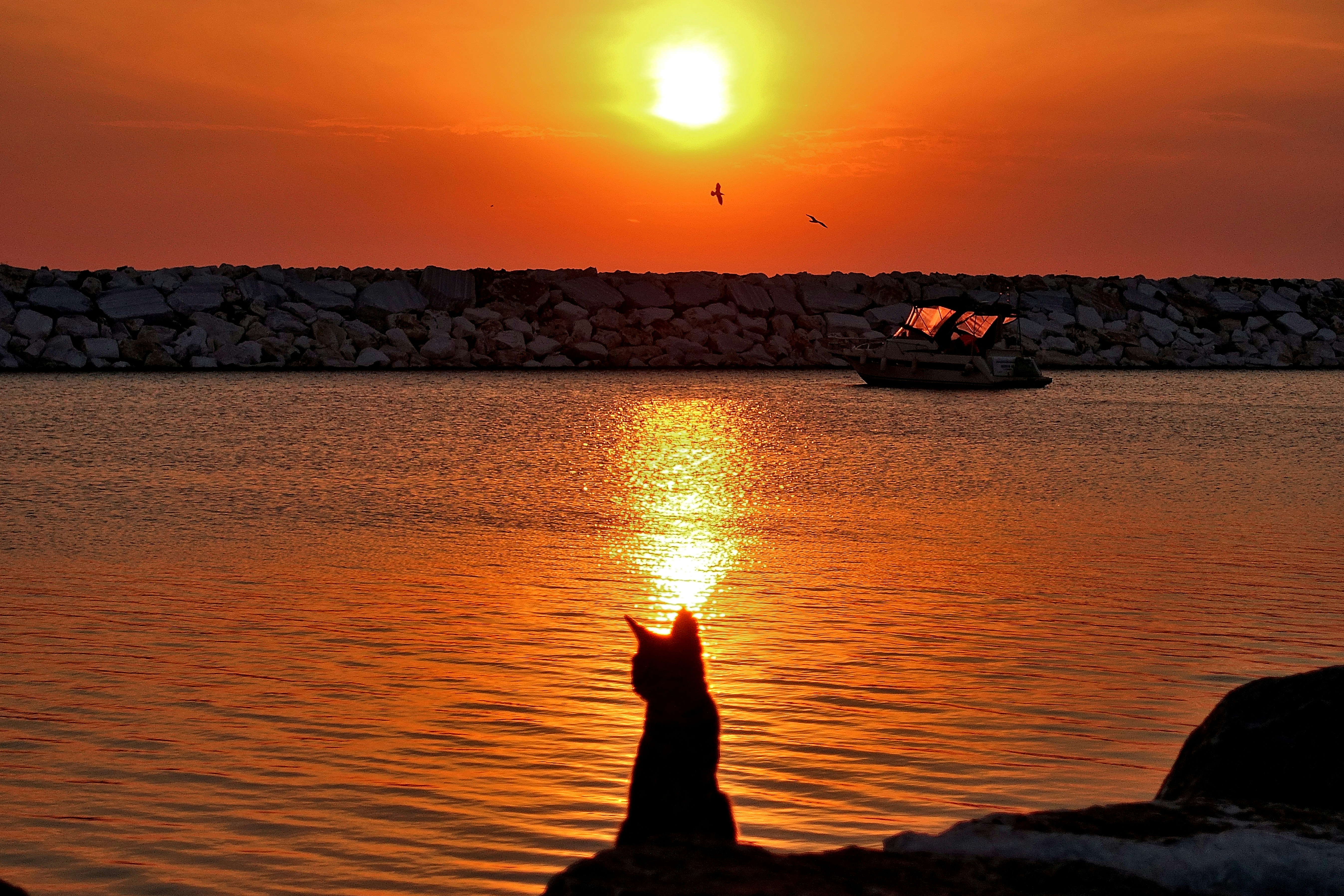 Free Unsplash photo from Bora Kilic