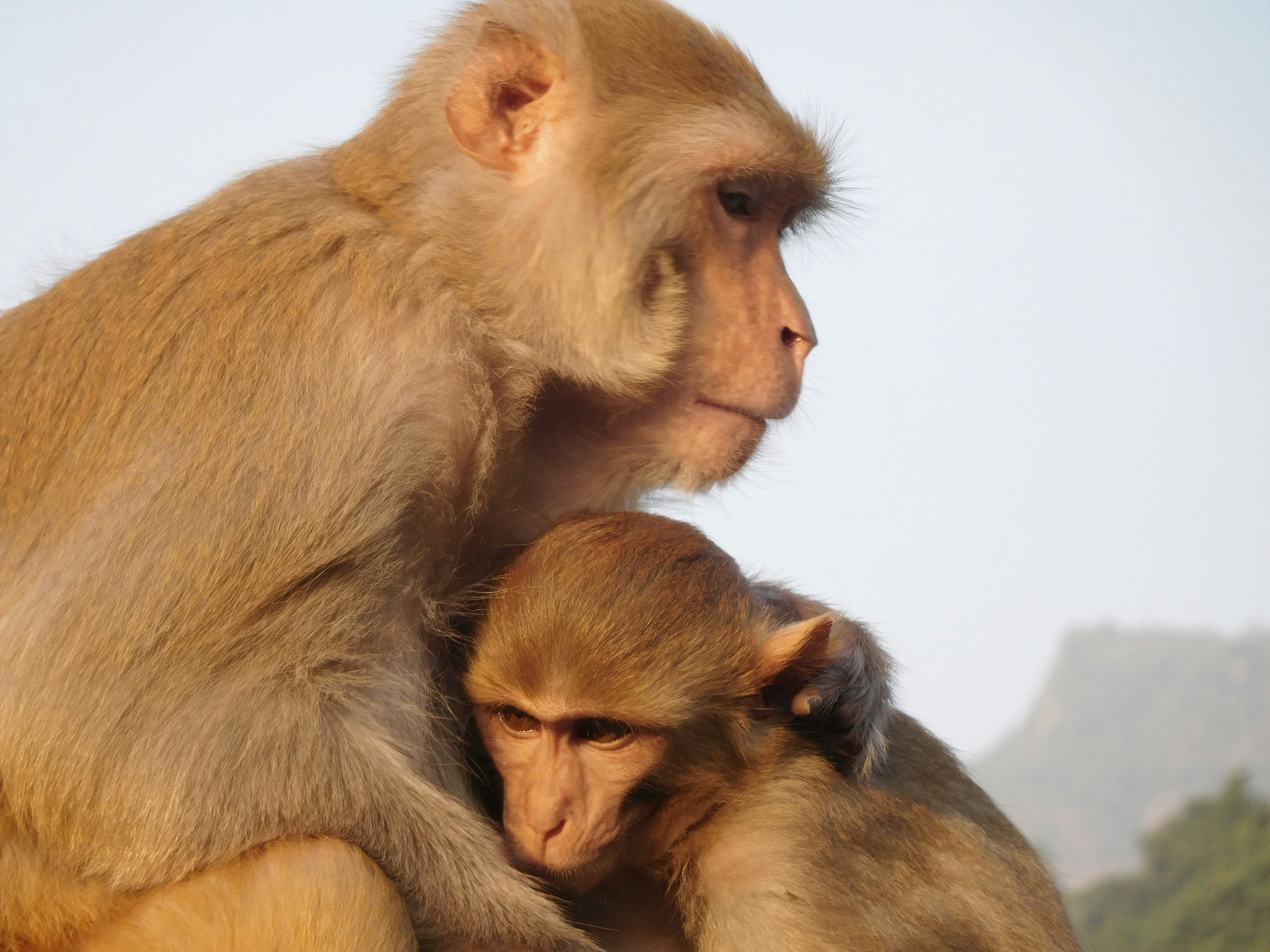 Free Unsplash photo from Ostap Vasylyev