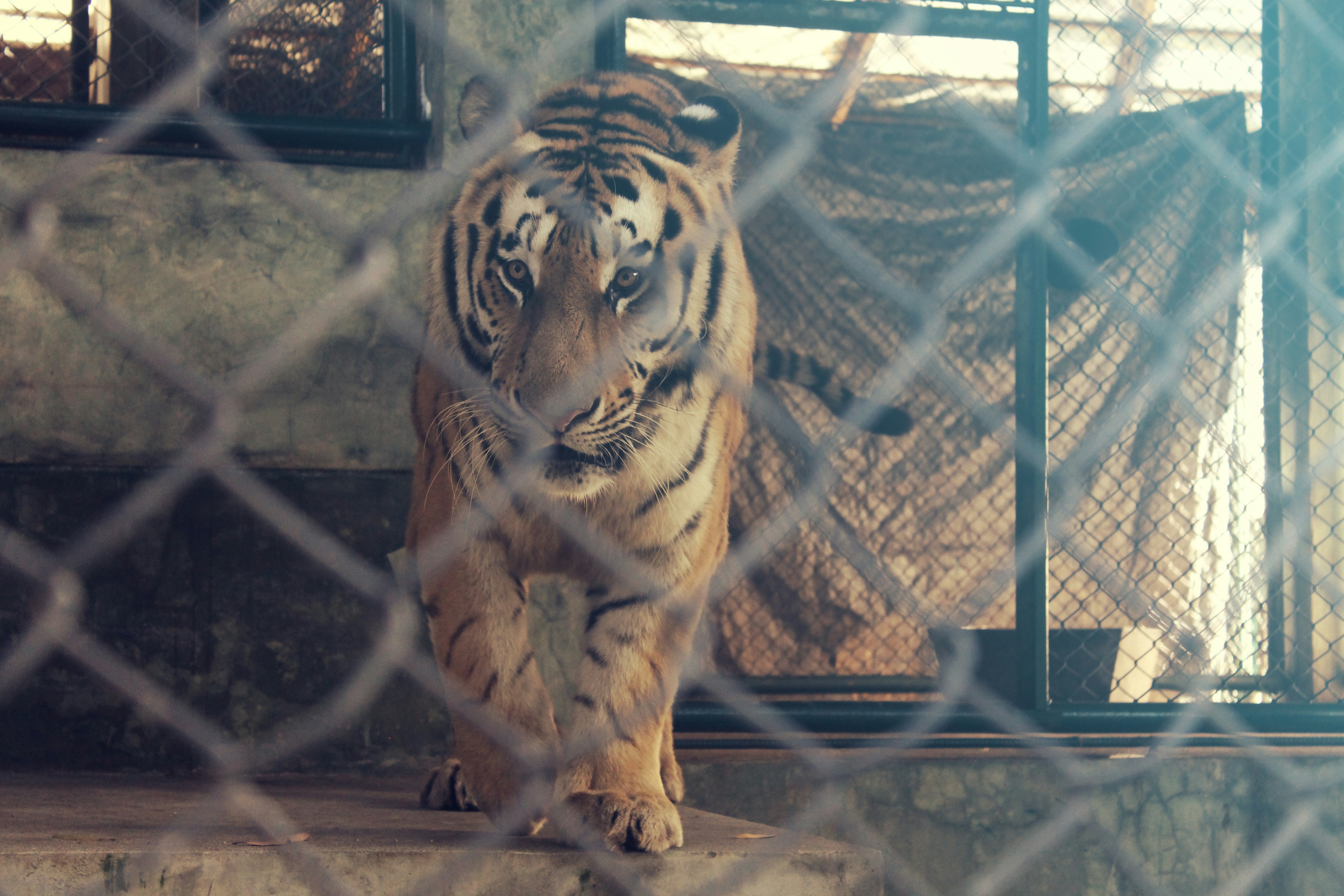 Free Unsplash photo from Max Desai