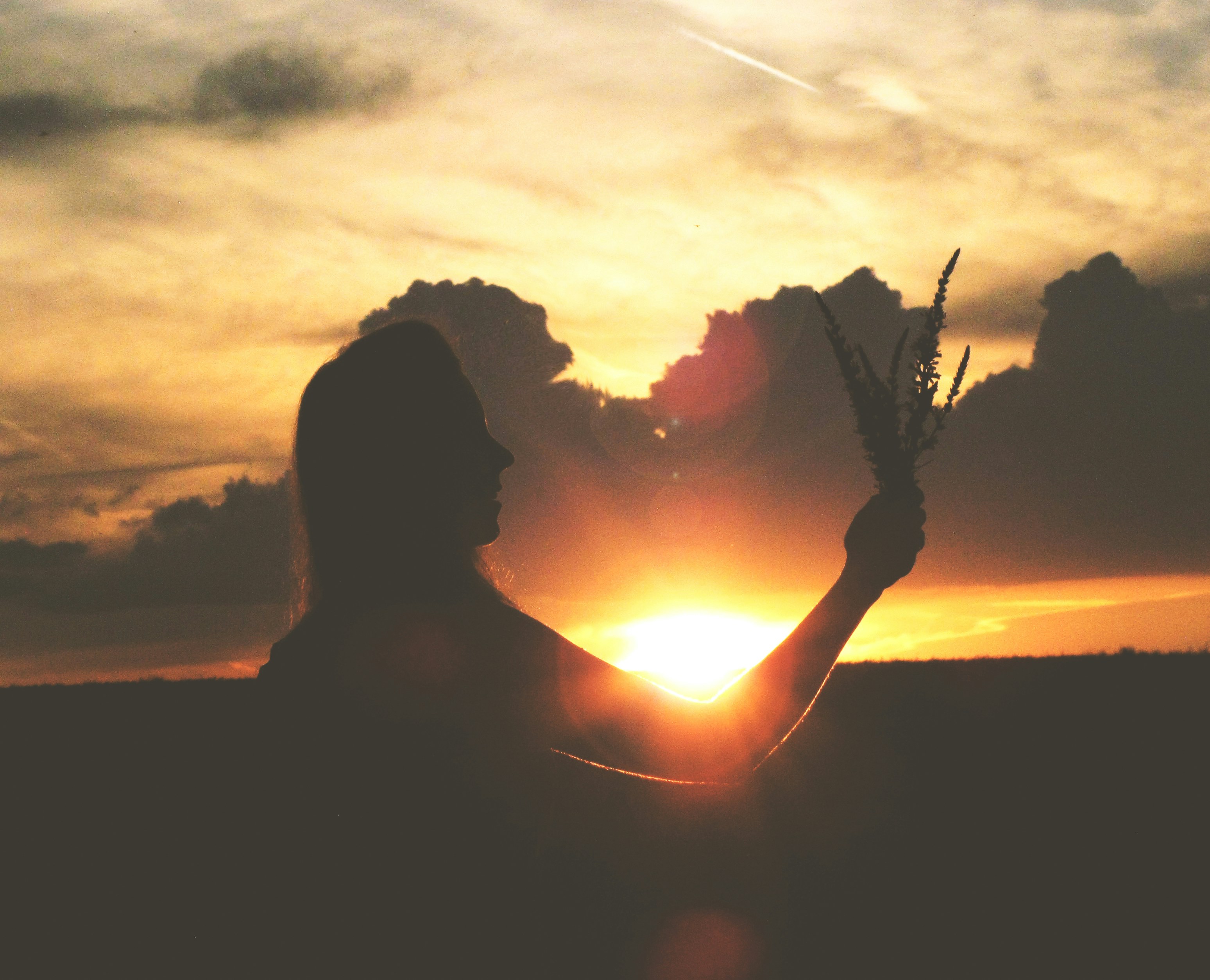 Free Unsplash photo from Viktor Pratnemer