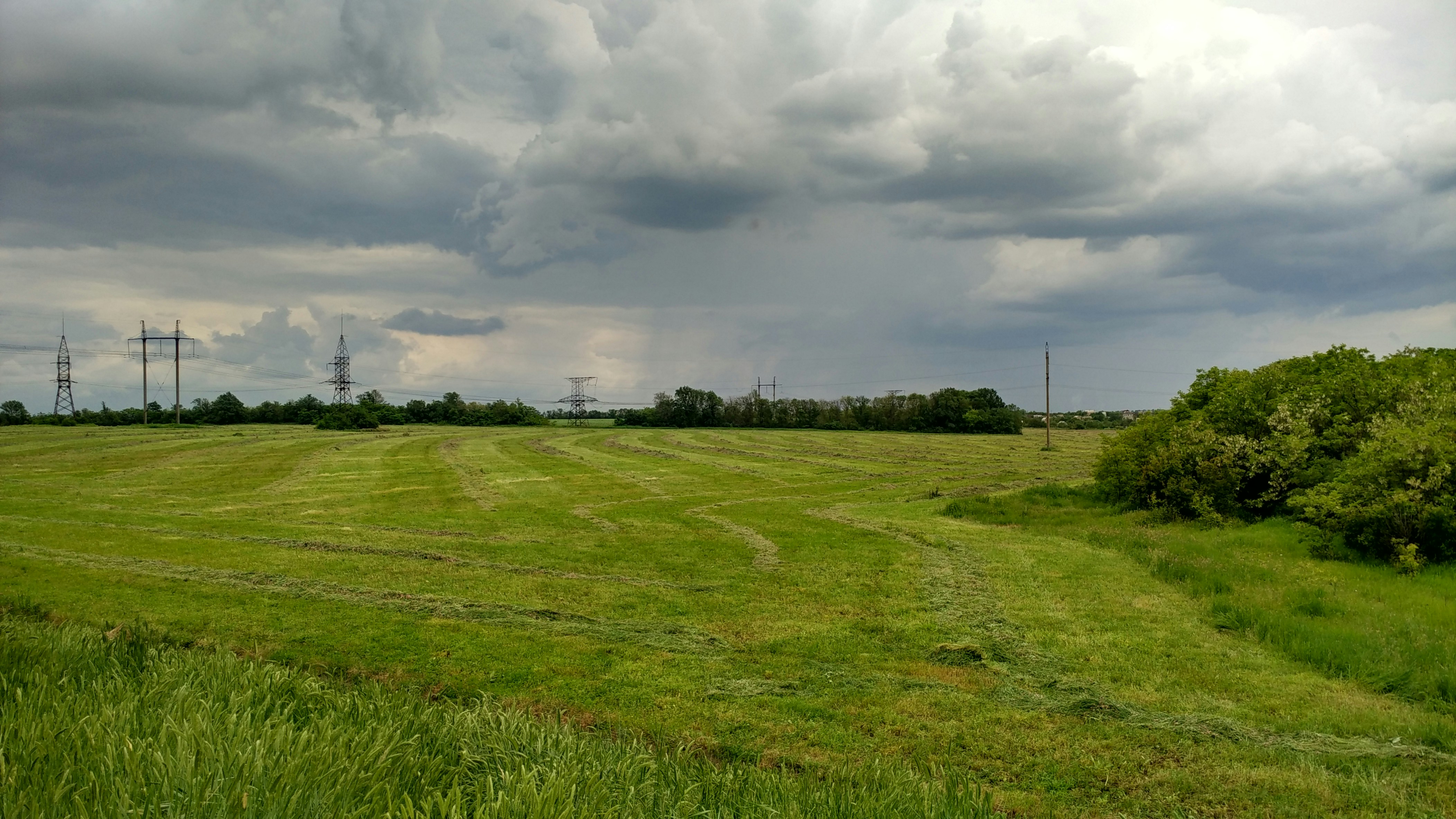 Free Unsplash photo from Stas Yeremenko