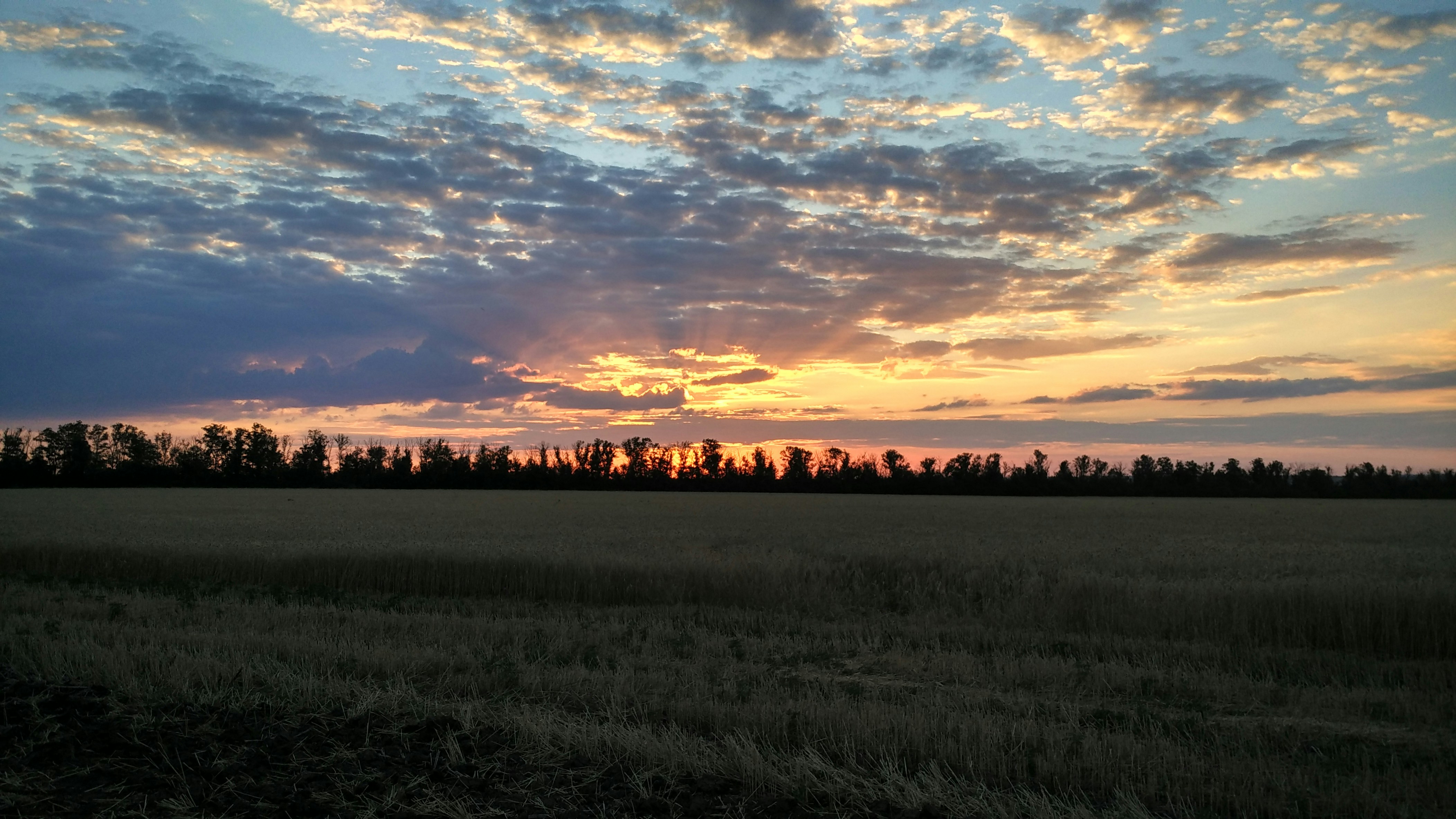 Free Unsplash photo from Stas Yeremenko