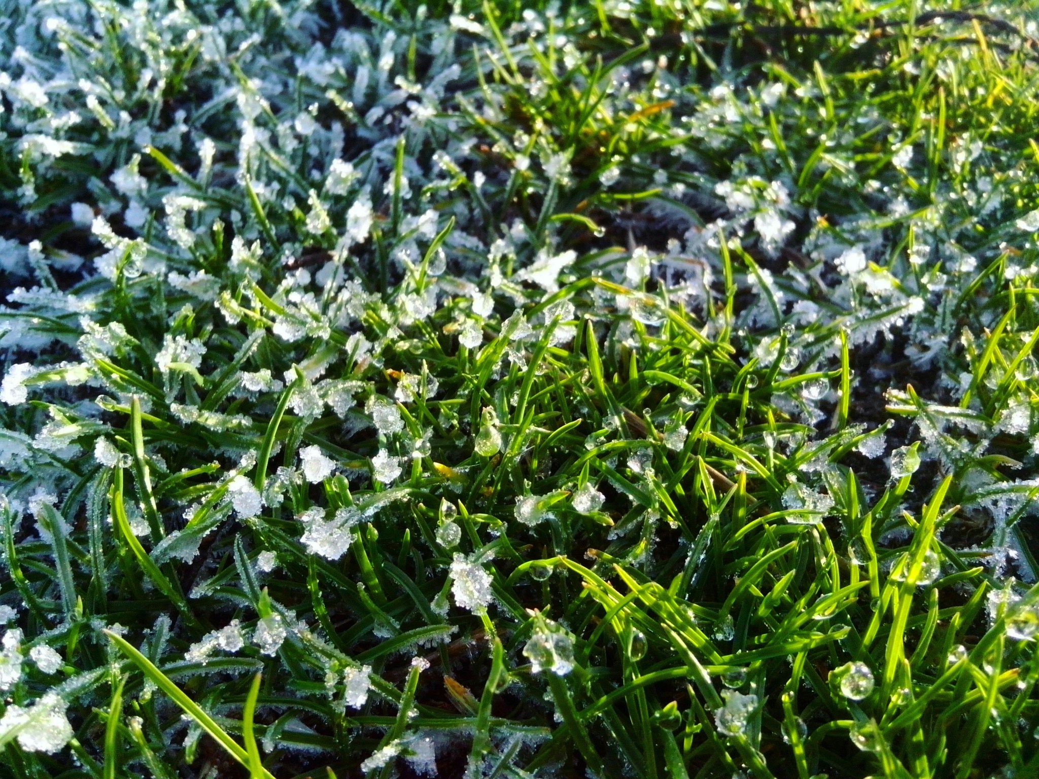 Free Unsplash photo from Stas Yeremenko