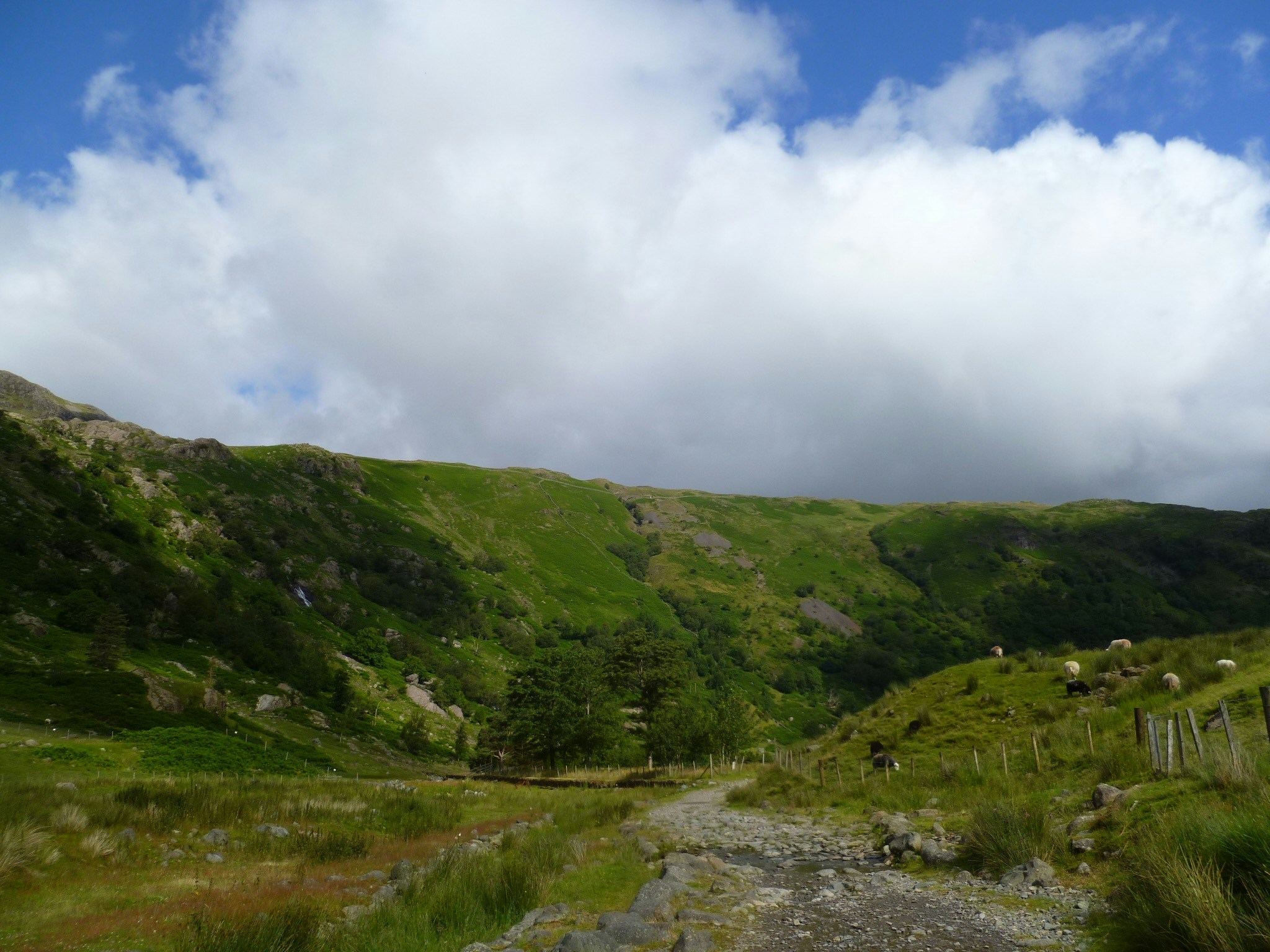 Free Unsplash photo from Holly Boud