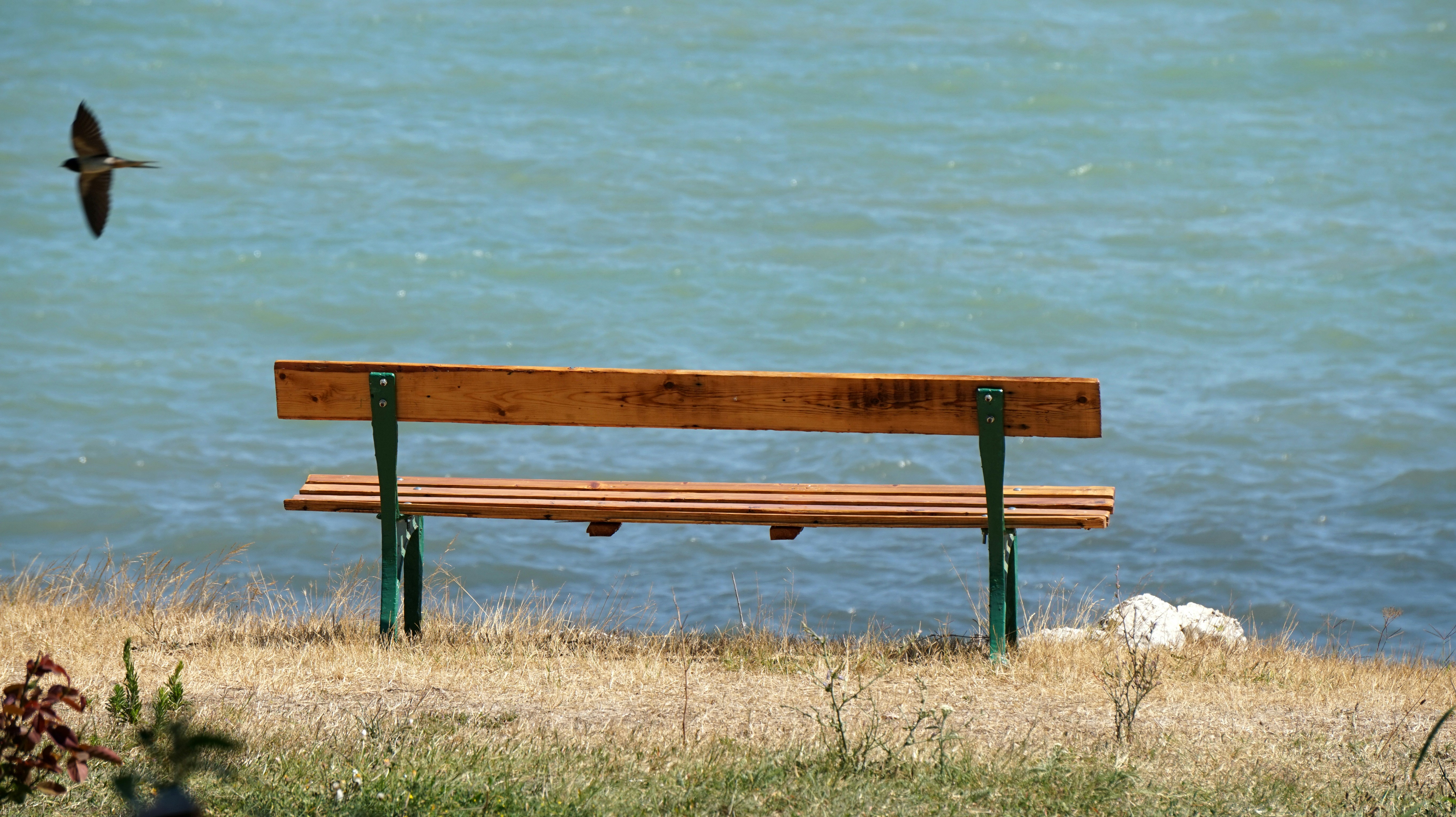 Free Unsplash photo from Vania Georgieva