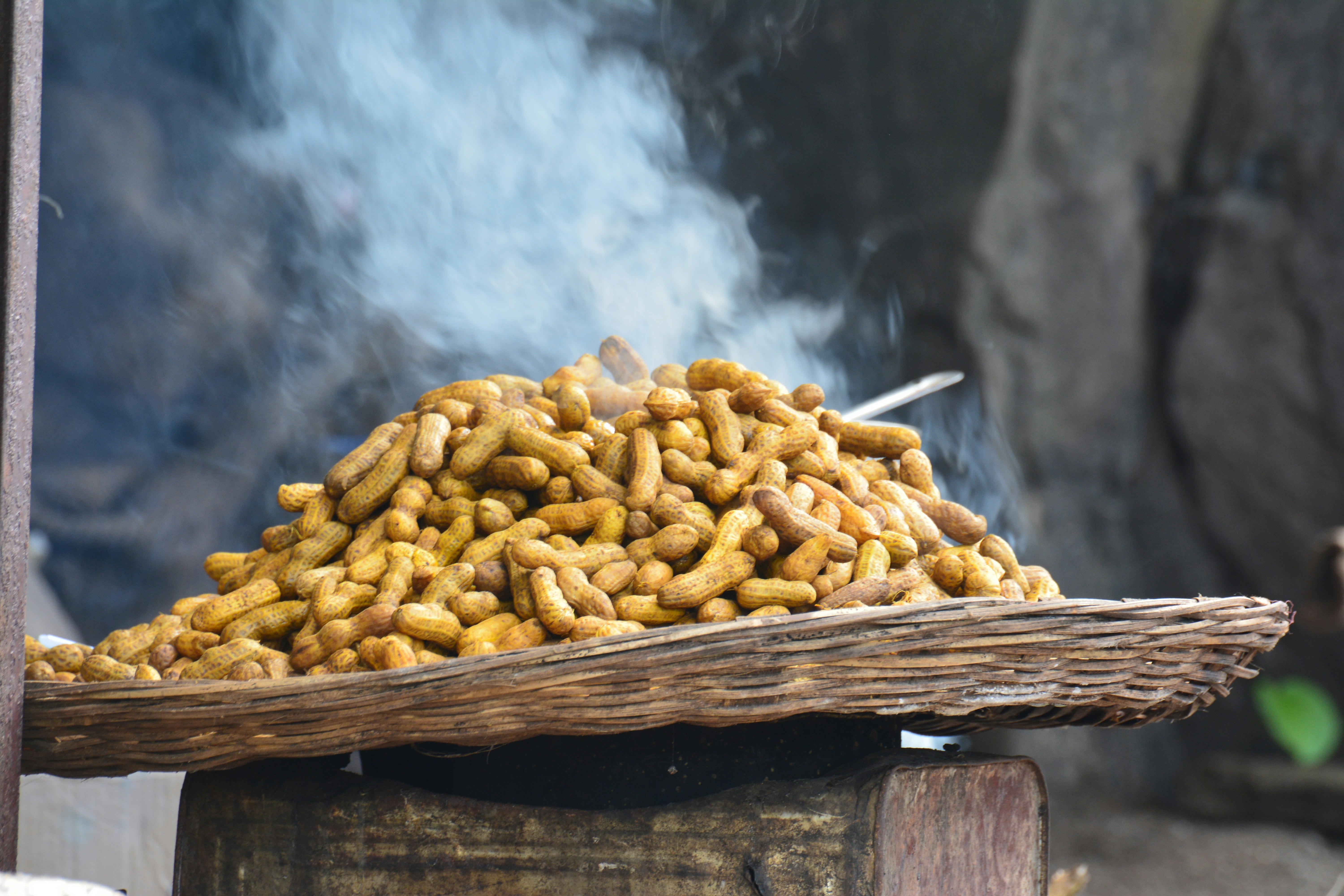 Free Unsplash photo from Srujai Varikuti