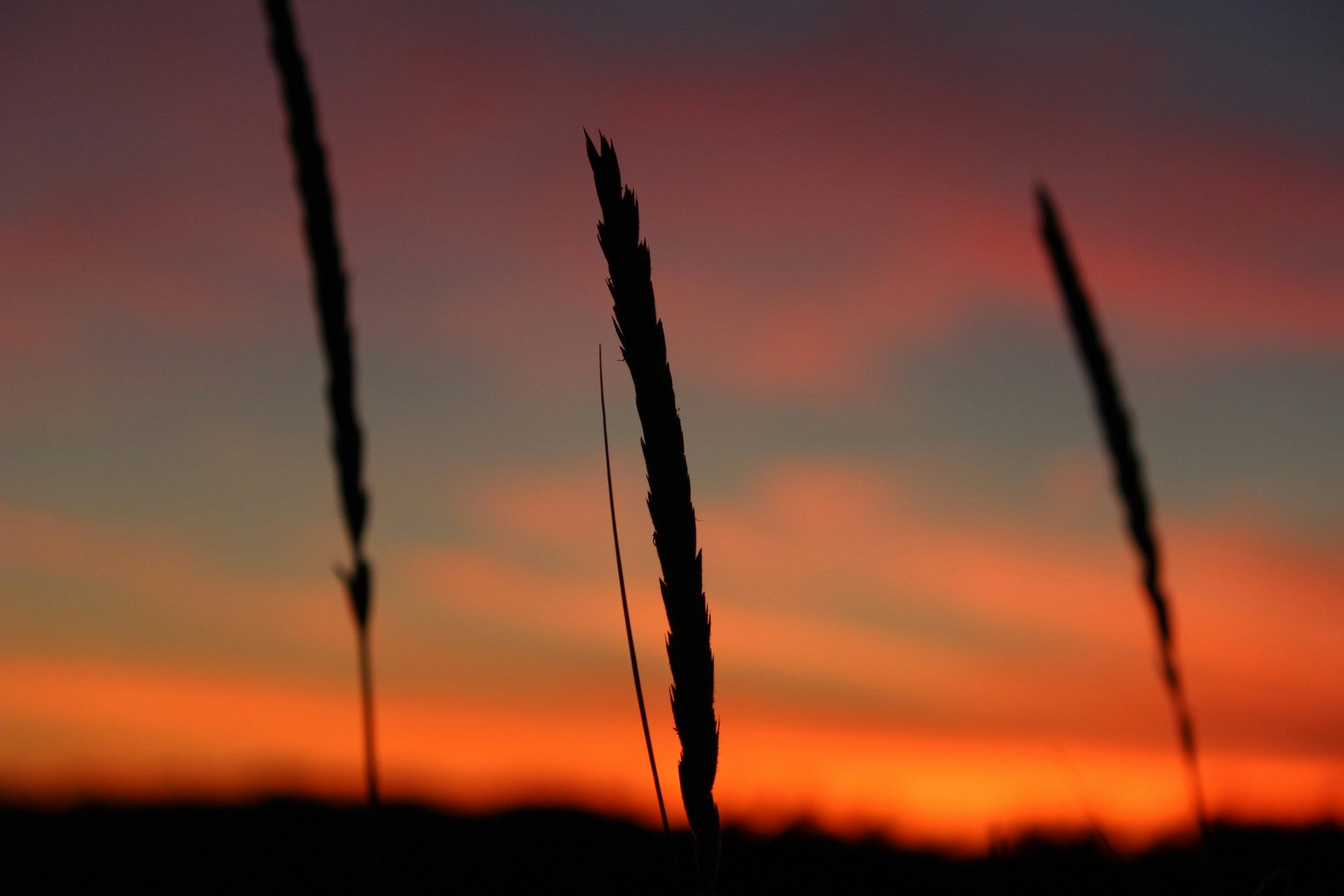 Free Unsplash photo from Jaxon Stevens