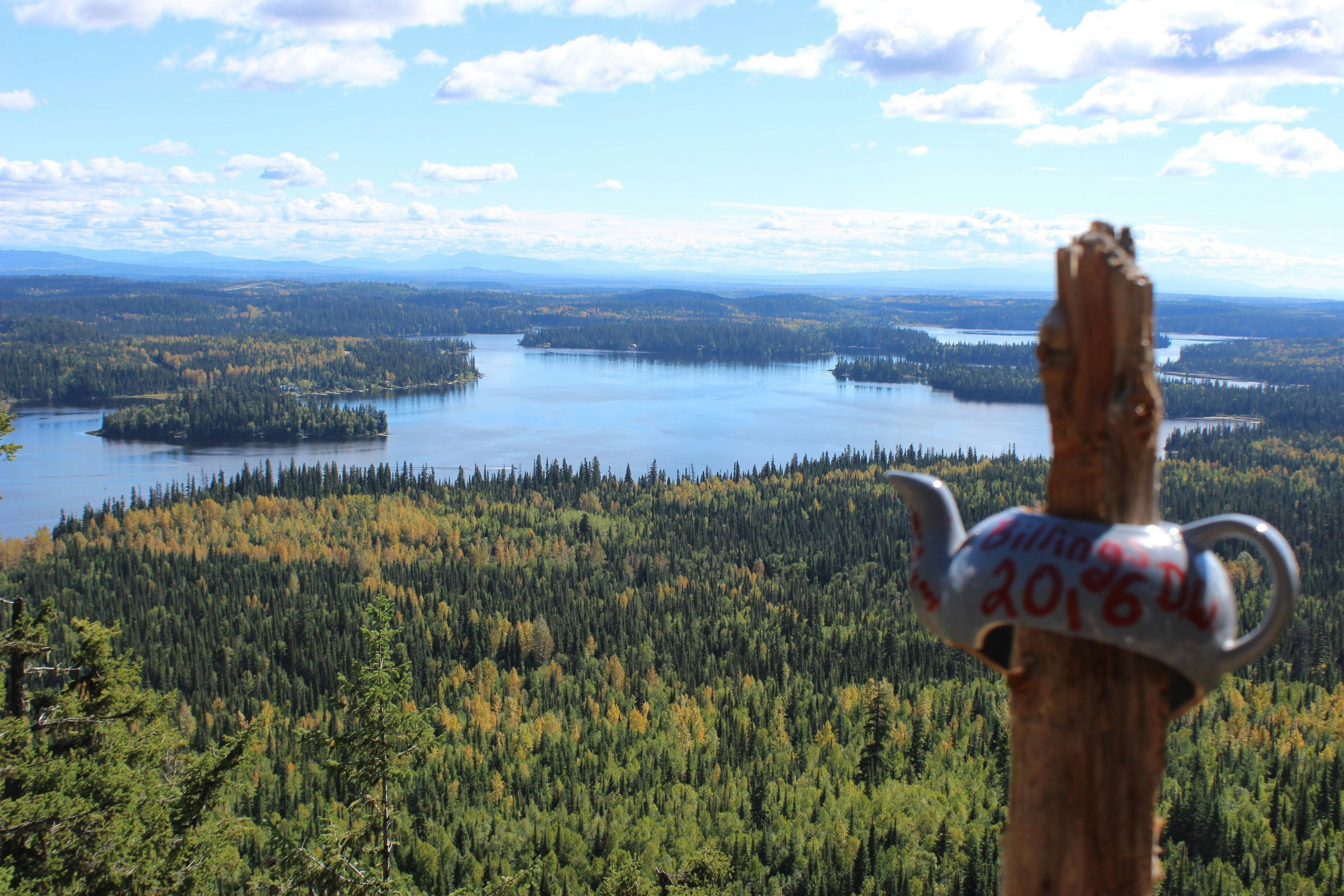 Free Unsplash photo from Jaxon Stevens