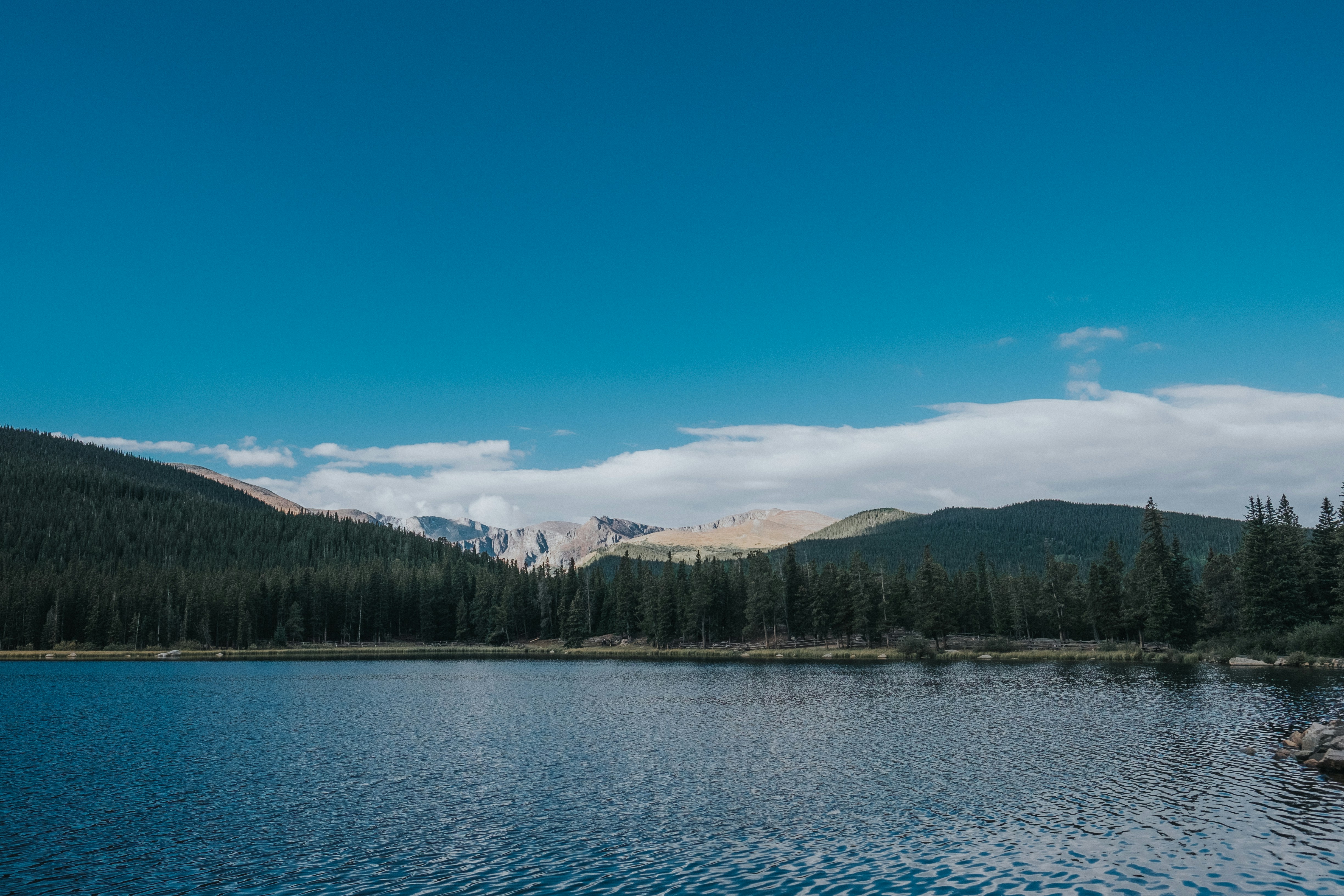 Free Unsplash photo from Chris Abney