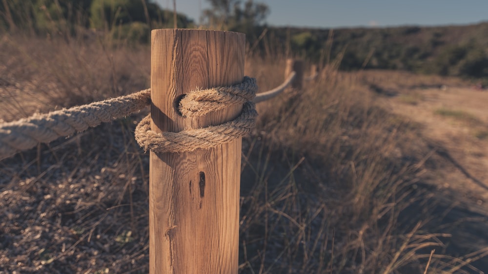 Madera marrón cerca de un campo de hierba