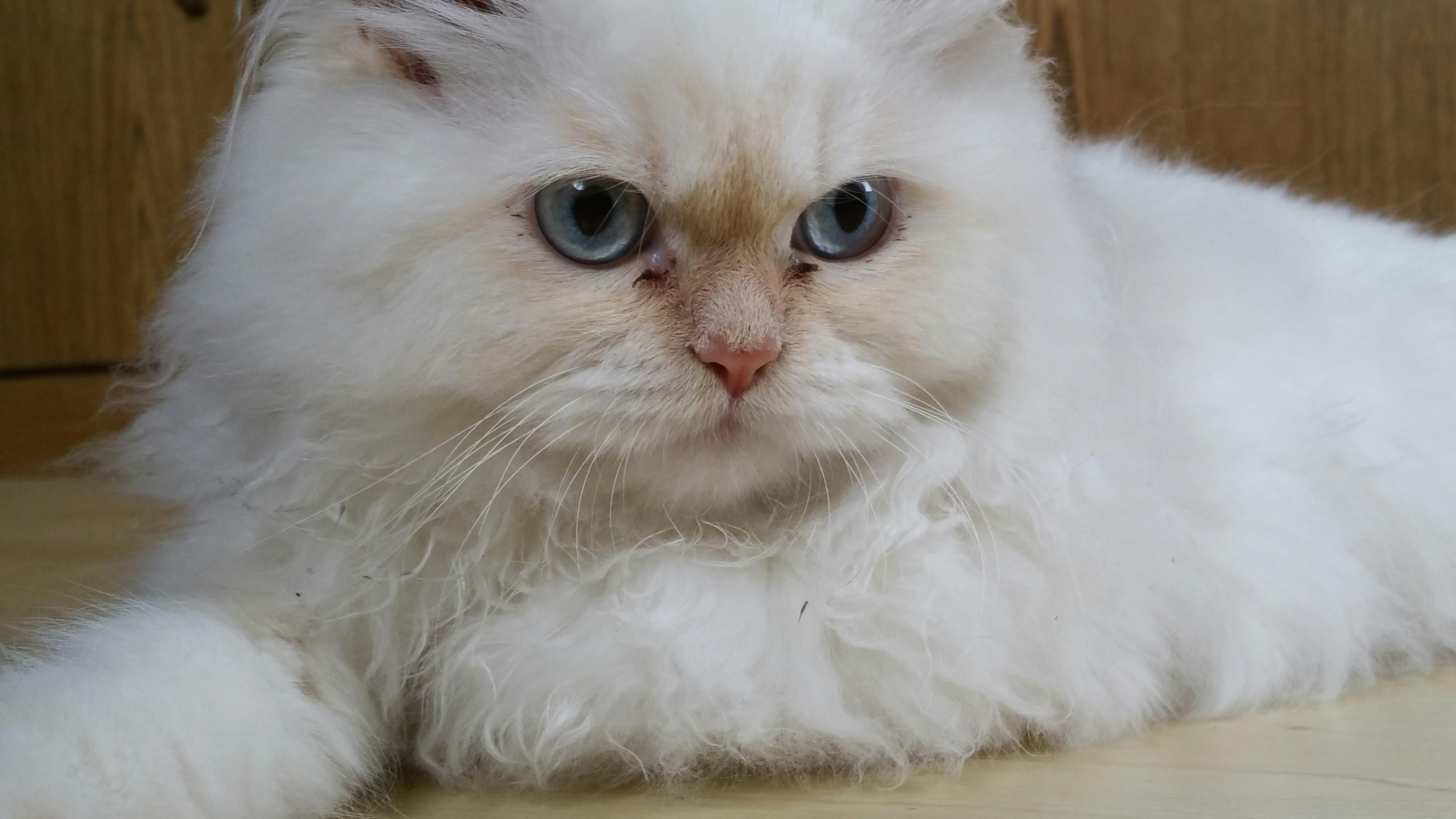 Free Unsplash photo from Eyad Aljazzar