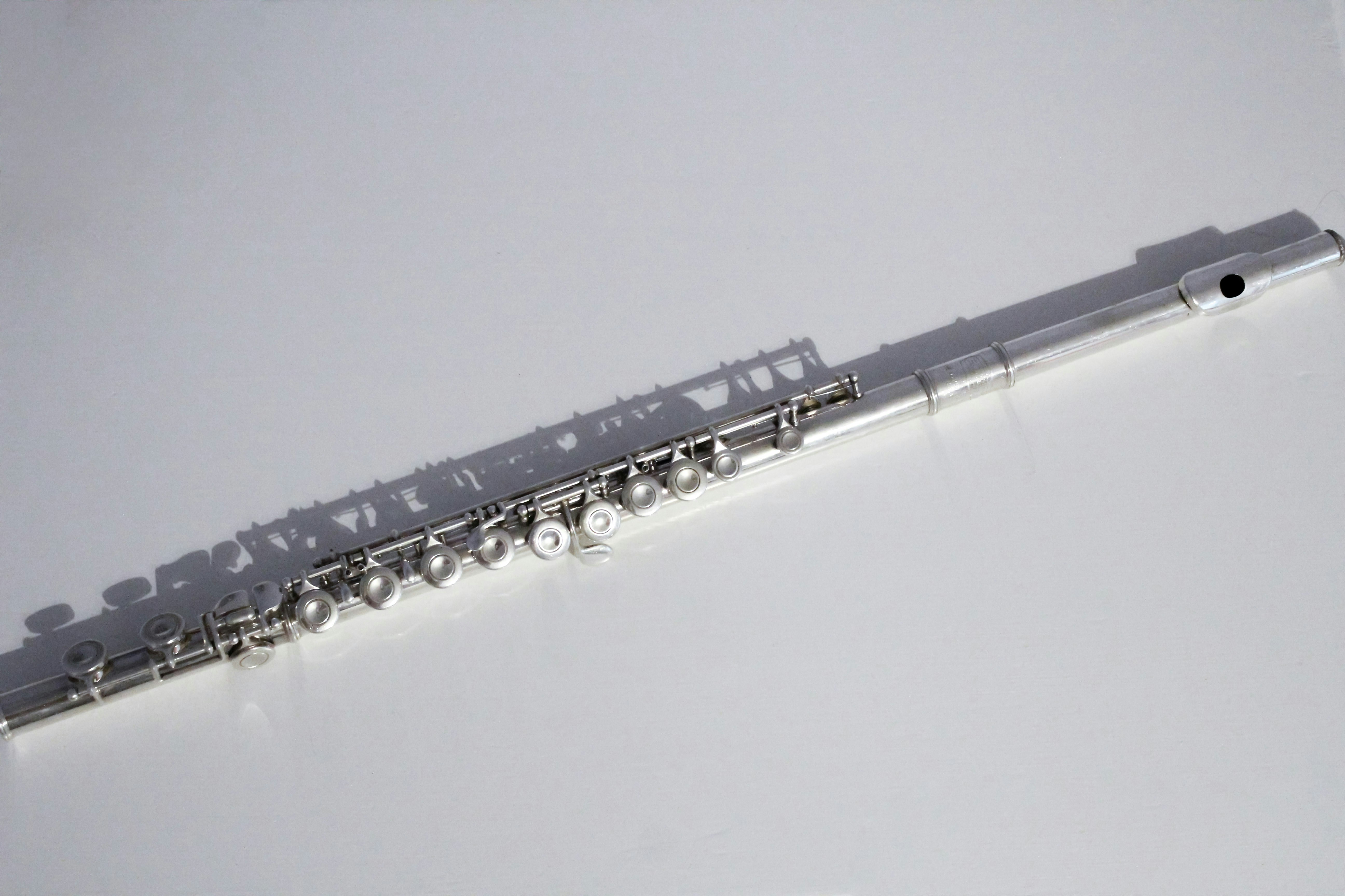 Free Unsplash photo from Gretchen