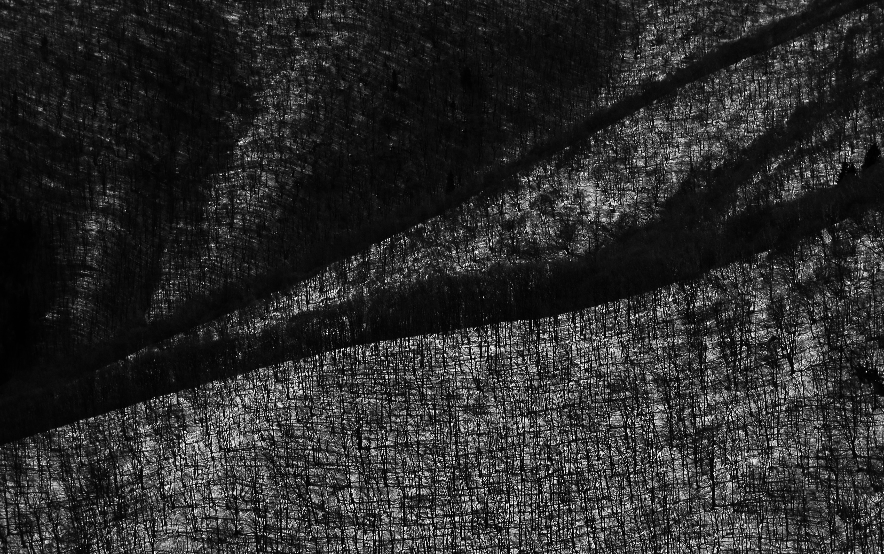 Free Unsplash photo from marco forno