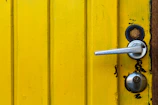 Close-up of a freshly painted door with crisp edges and smooth finish.