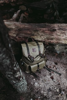 gray bug out bag leaning on brown tree trunk
