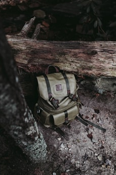 gray bug out bag leaning on brown tree trunk