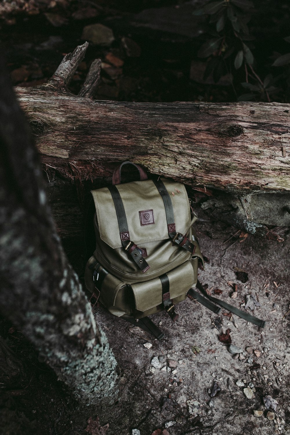 Mochila gris apoyada en el tronco de un árbol marrón