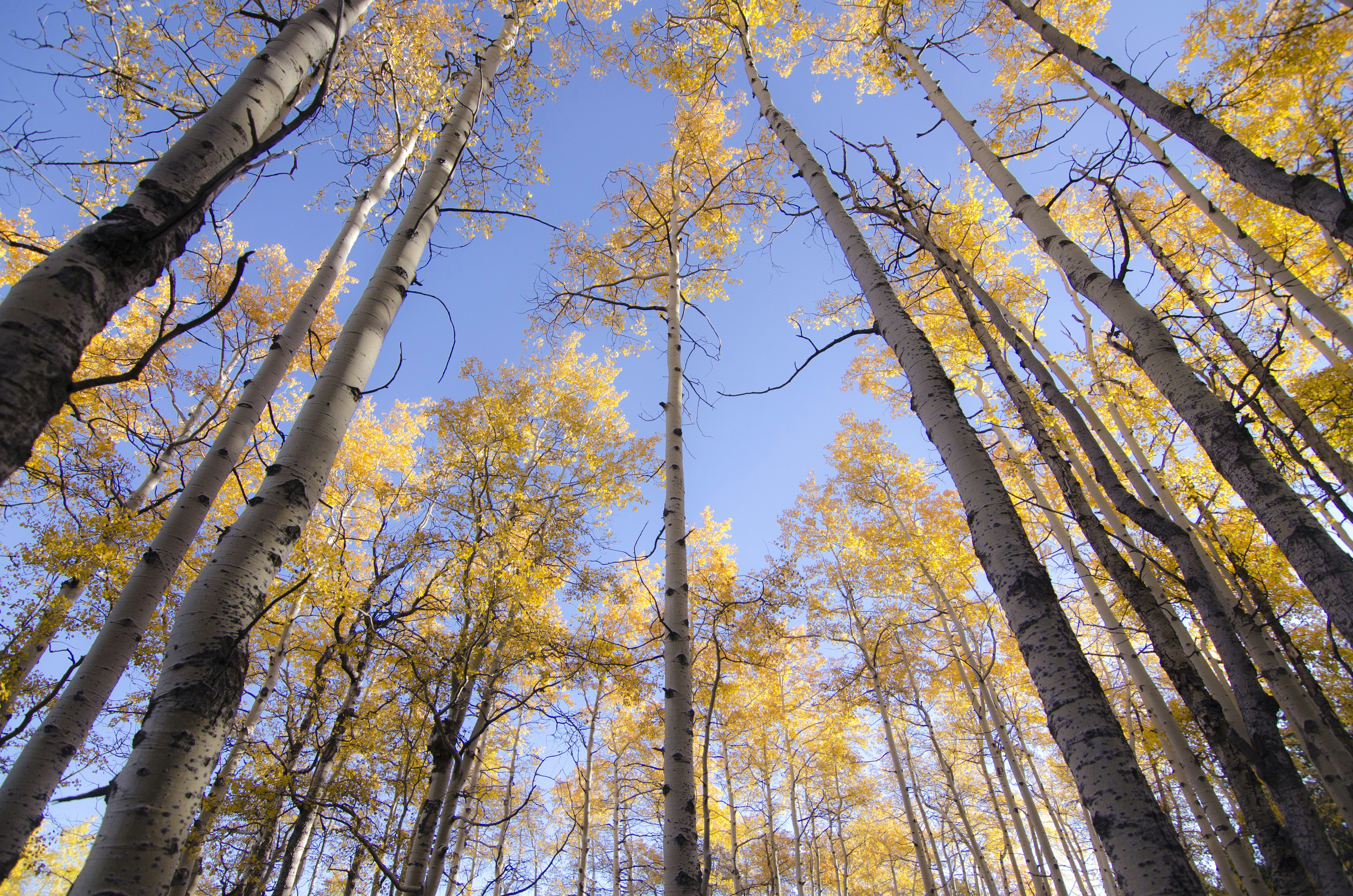 Free Unsplash photo from Jamison McAndie