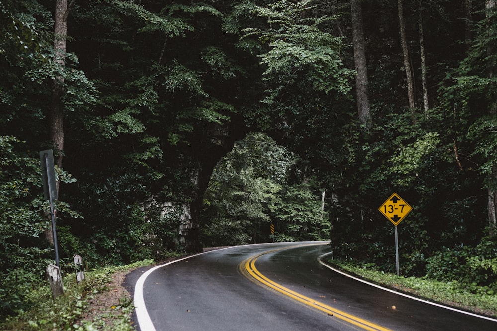 asphalt road between green trees