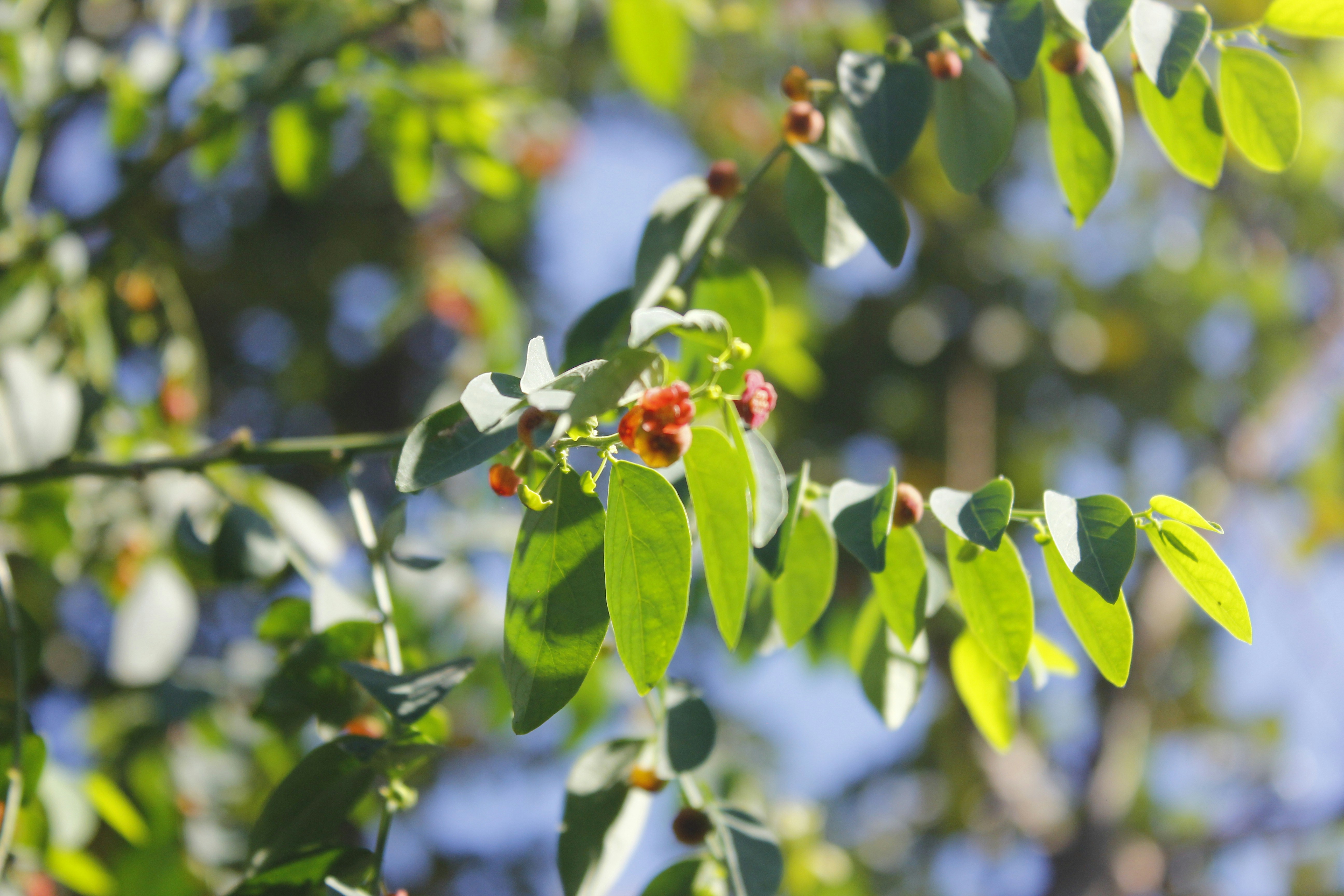 Free Unsplash photo from M Ramdani Asyhari