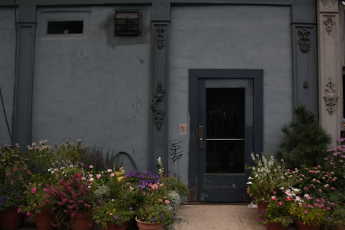 A dark blue door set into a similarly colored wall, surrounded by an assortment of potted plants with vibrant blooms. The wall has intricate decorative elements and a small vent near the top. Some graffiti is present near the doorbell.