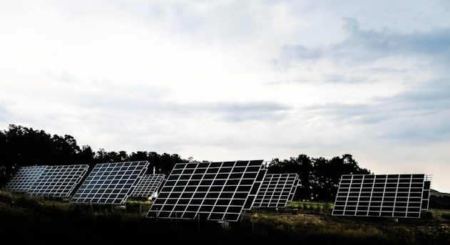 silhouette photography of assorted solar panel behind trees