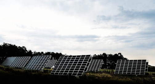 silhouette photography of assorted solar panel behind trees