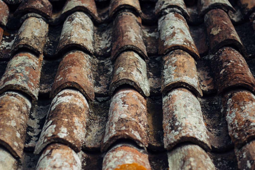 closeup photo of brown roof shingles