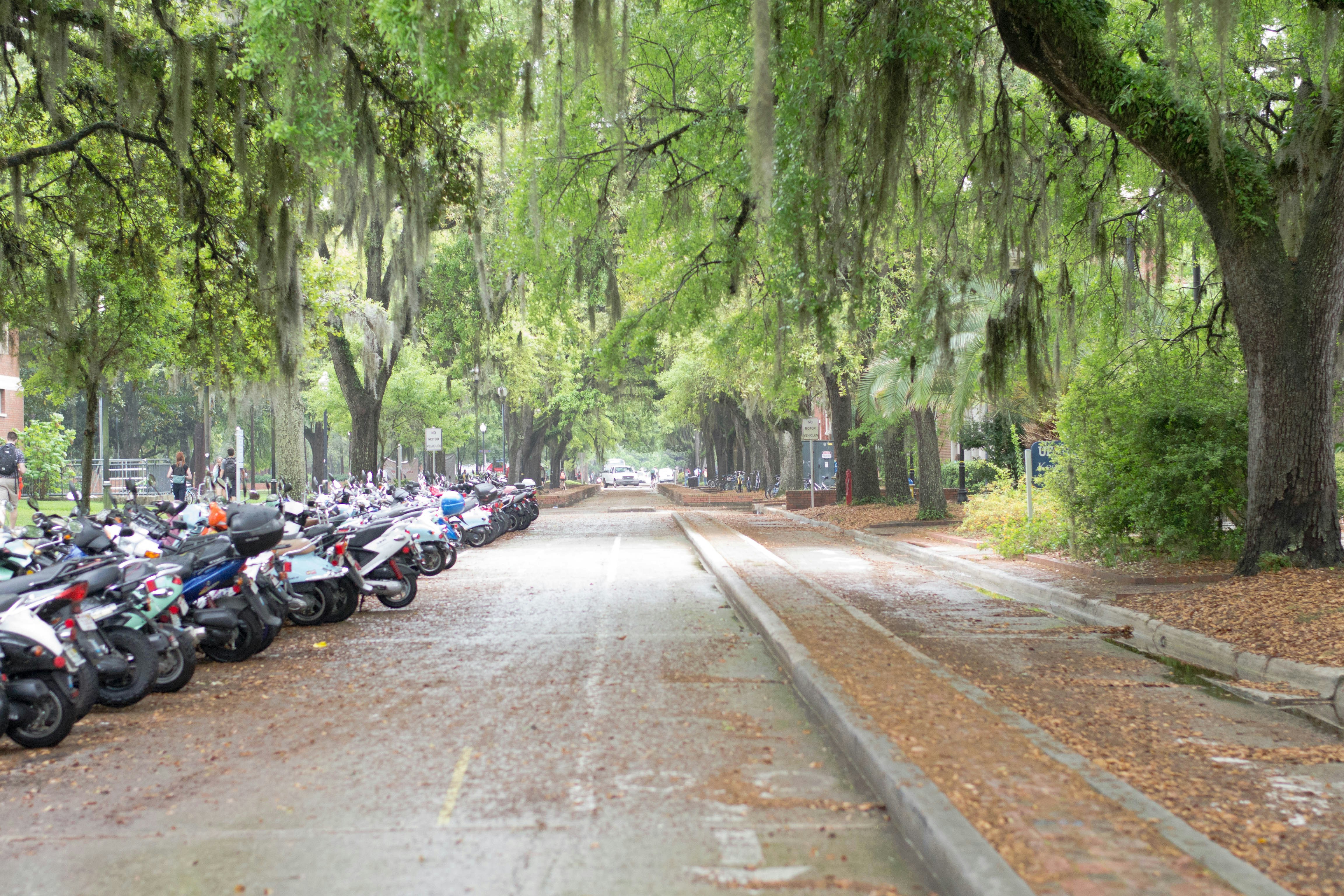 Free Unsplash photo from Carly Cates