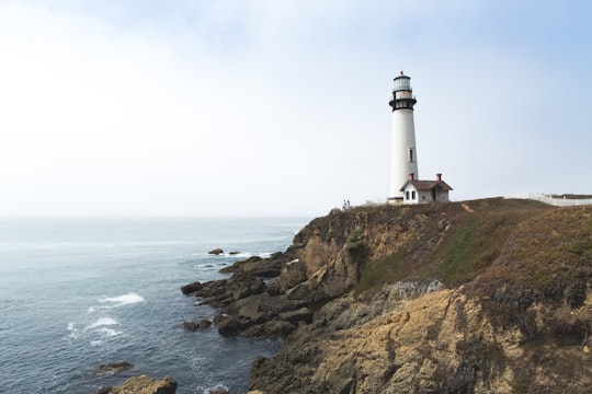 white lighthouse on hill near ocean in Pigeon Point Light Station State Historic Park United States