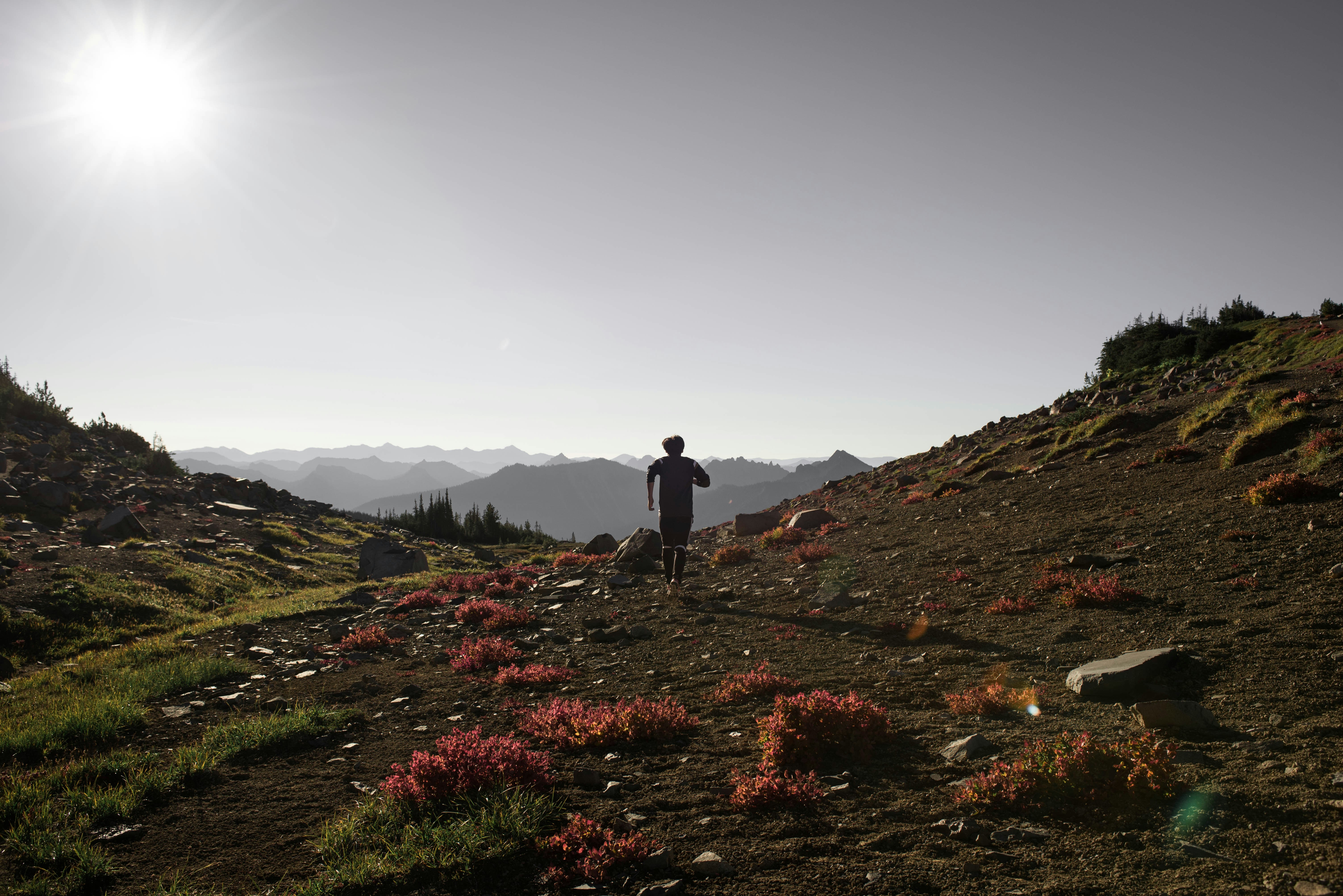 Free Unsplash photo from Daniel Mingook Kim