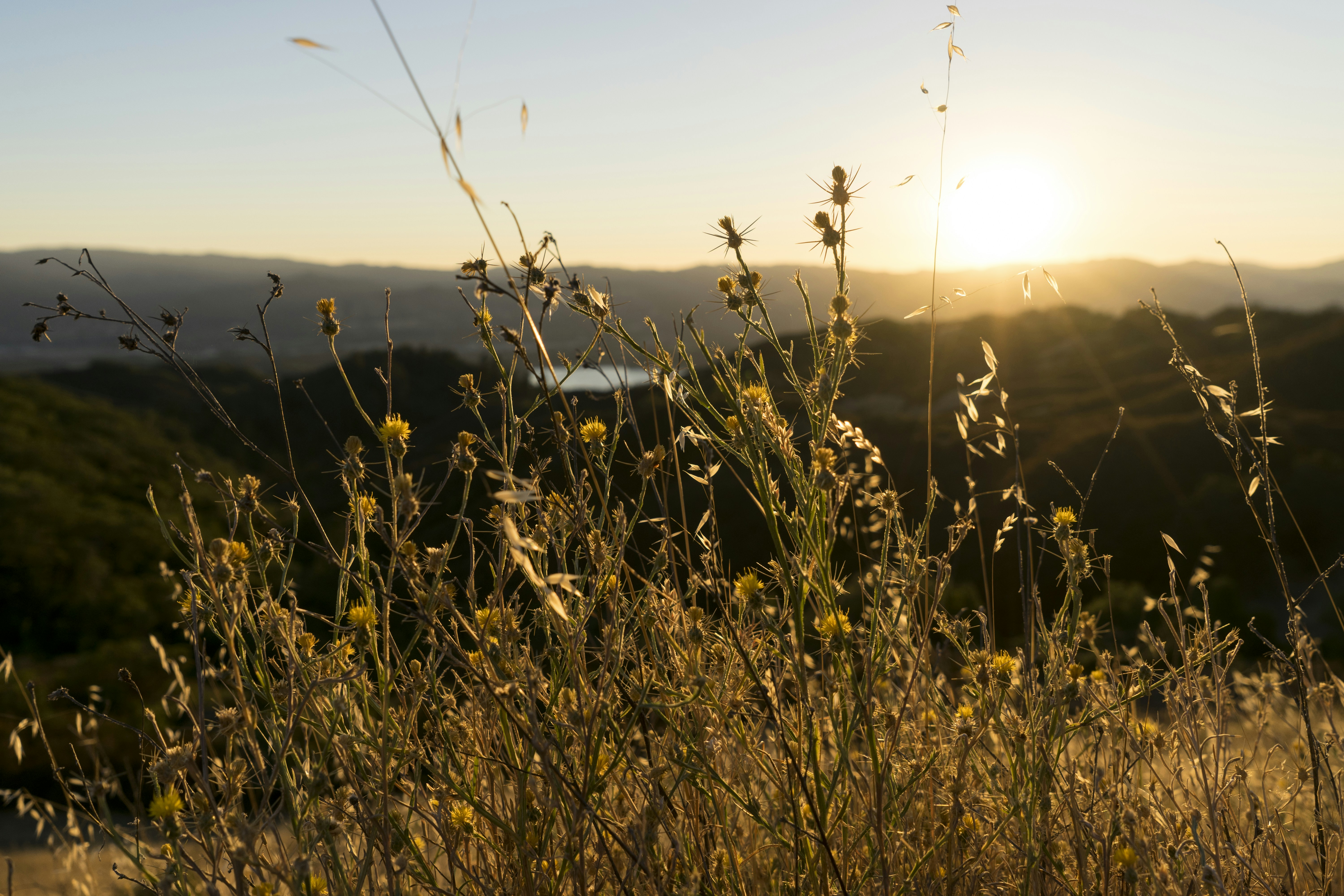 Free Unsplash photo from William Poulos