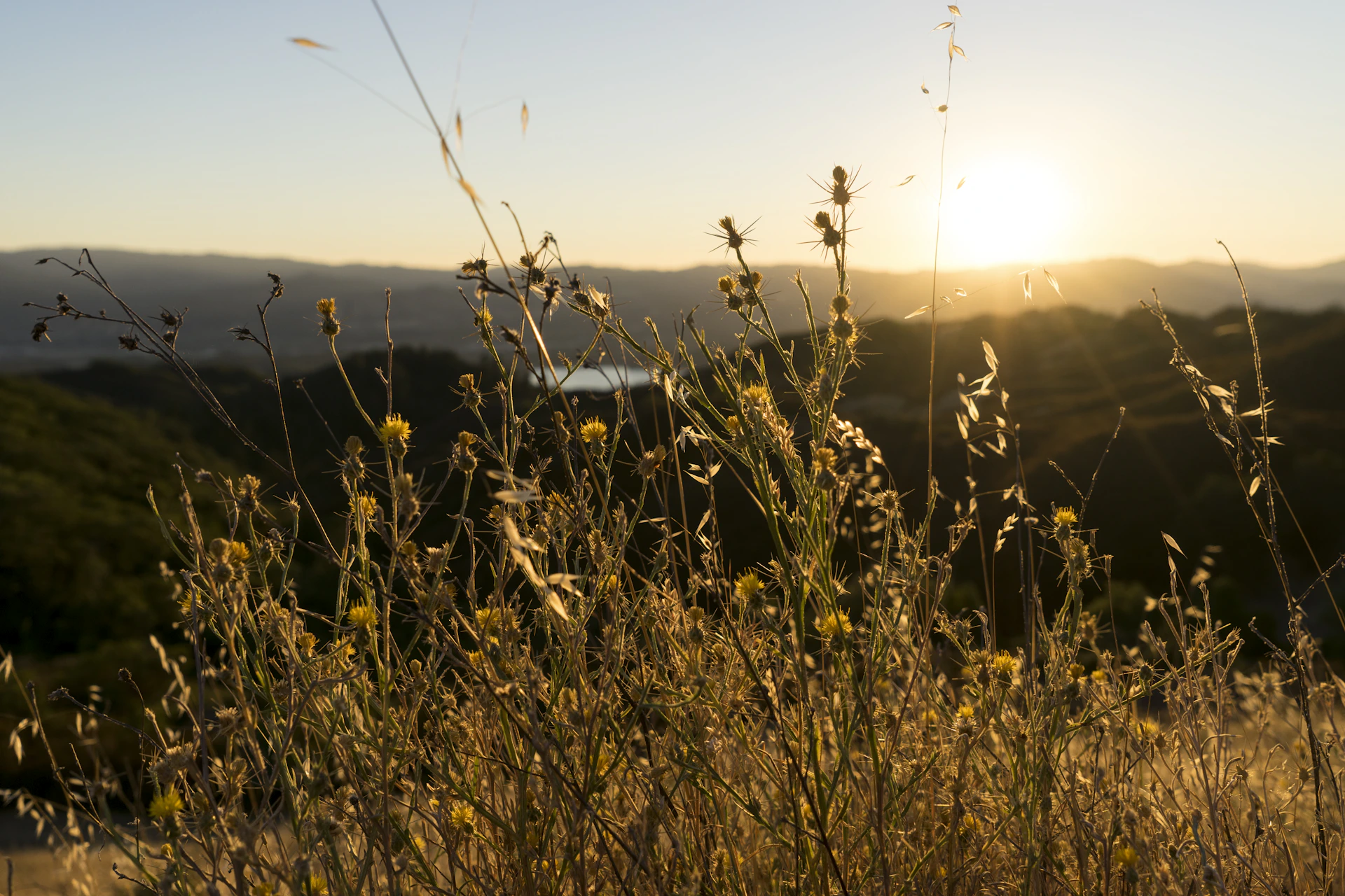 woman wearing yellow long-sleeved dress under white clouds and blue sky during daytime