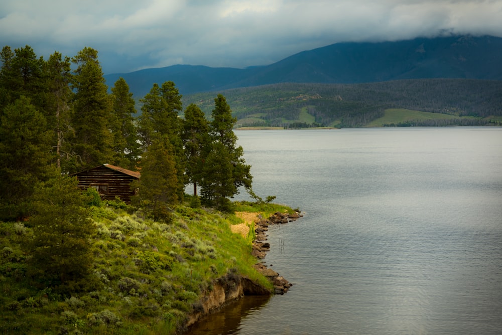 body of water beside trees at daytime