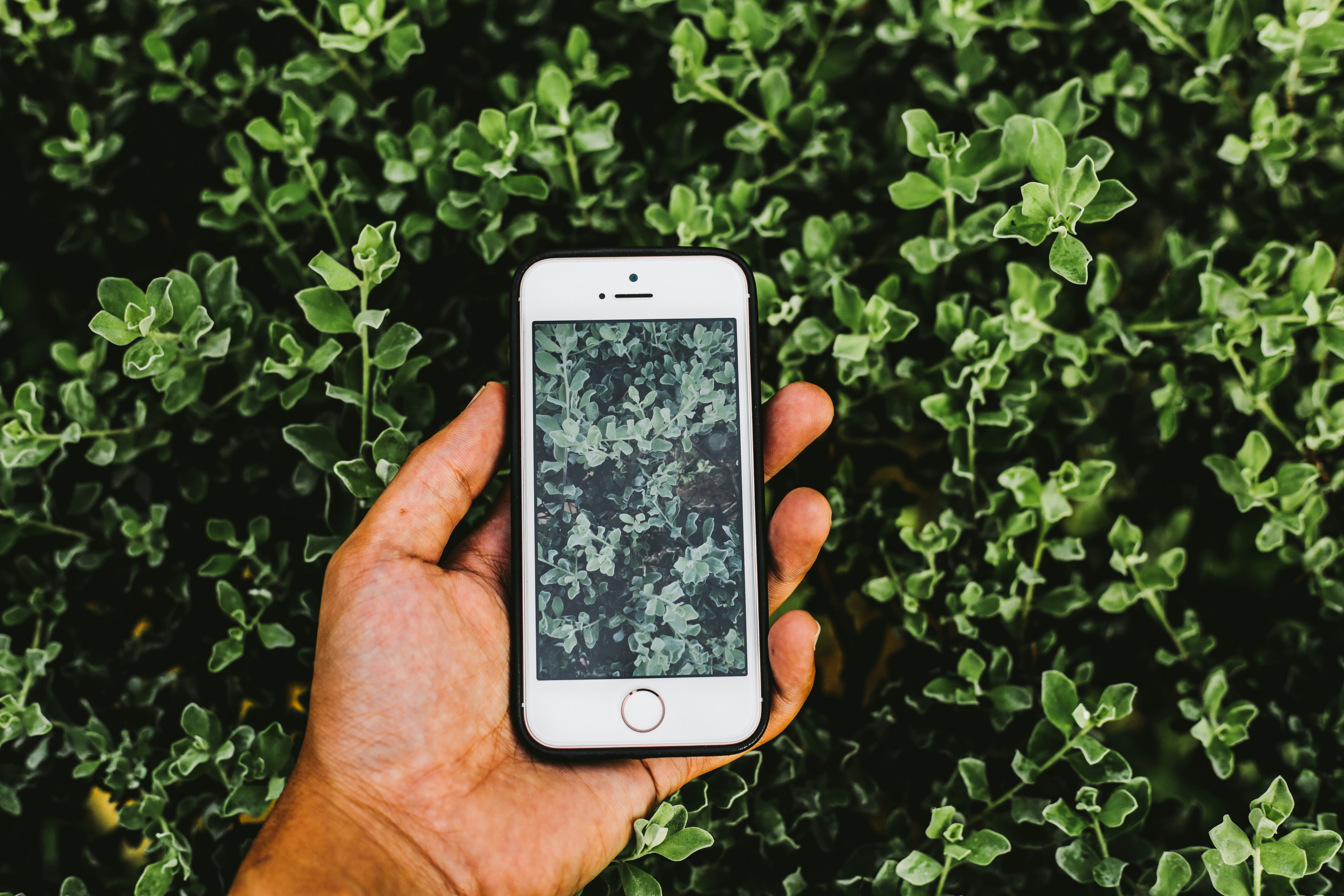 Free Unsplash photo from Afnan Zulkefli